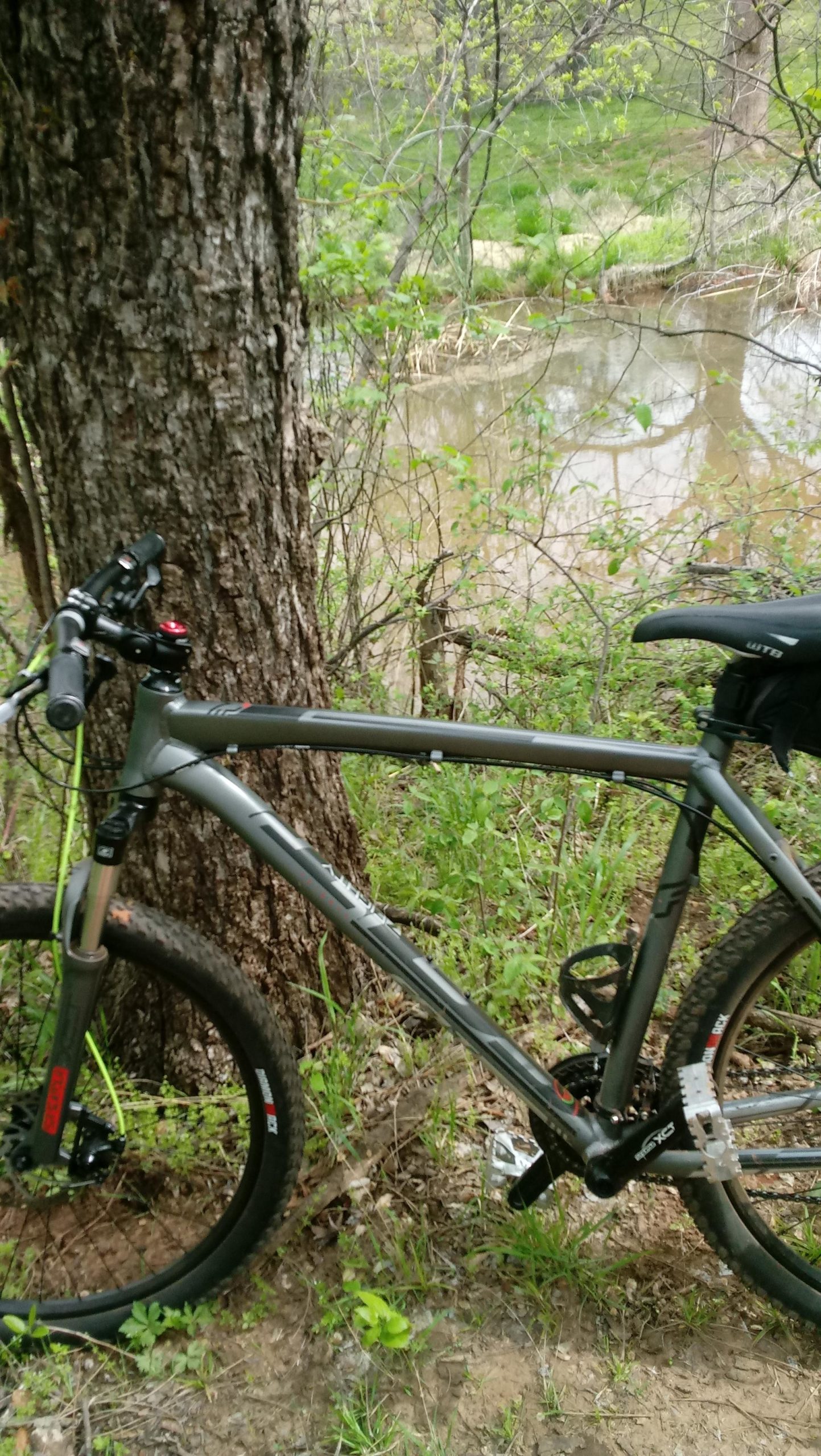 A mountain bike resting against a large tree, surrounded by lush greenery and near a tranquil body of water. The bike features a gray frame and black components, indicating it's ready for an outdoor adventure. Bluff Creek Trail mountain bike trail.
