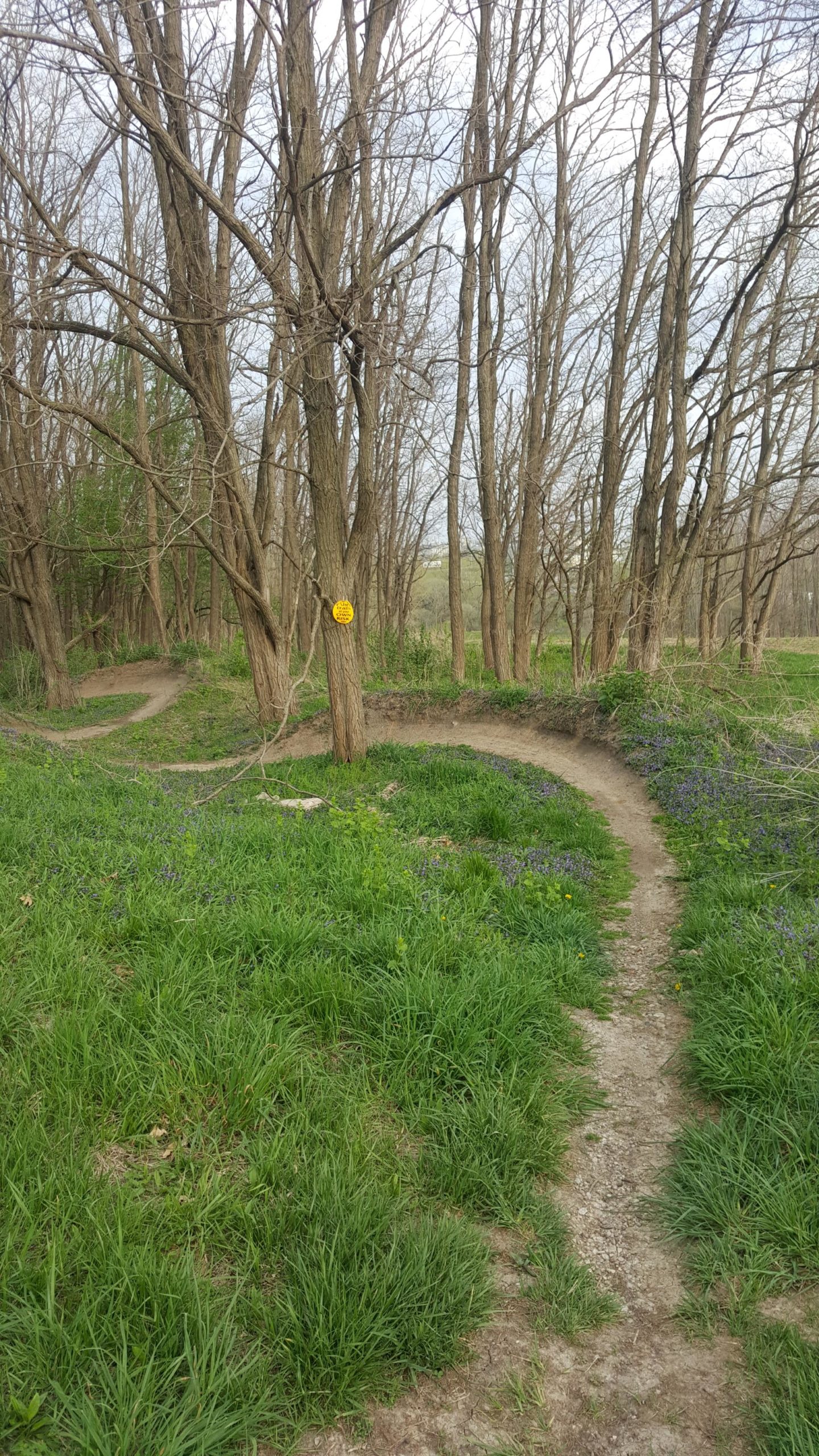 A winding dirt path through a forested area with bare trees, surrounded by lush green grass and patches of purple wildflowers. A yellow sign is attached to a tree along the path. The scene is set under a cloudy sky. Beverly Park mountain bike trail.