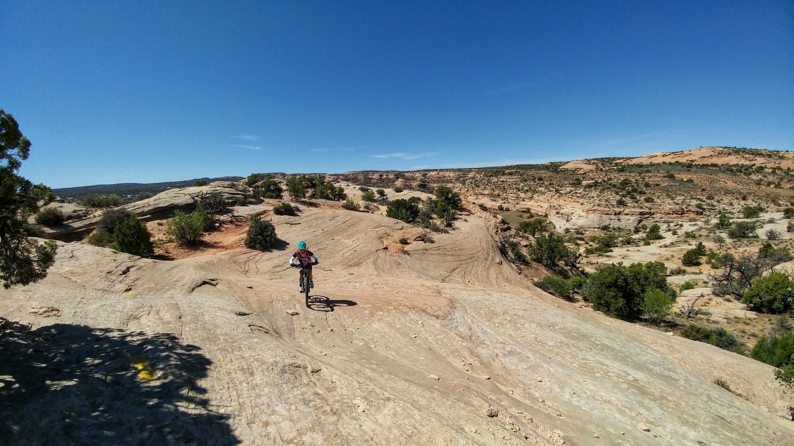 A mountain biker rides along a rocky trail in a desert landscape under a clear blue sky, surrounded by shrubs and rocky formations. Navajo Rocks mountain bike trail.