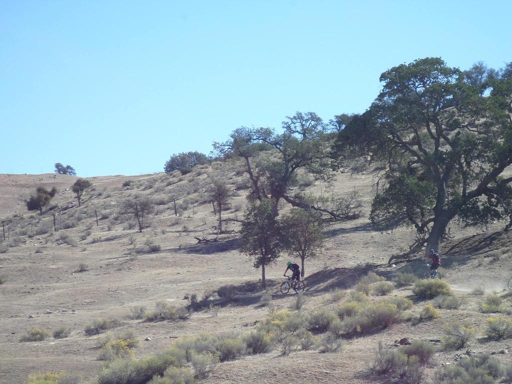 A landscape featuring a dry, hilly terrain with sparse vegetation and scattered trees. Two mountain bikers are riding on a dirt trail, one is in the foreground while the other is further back. The sky is clear and blue, indicating a bright, sunny day. TMTA Lehigh trails mountain bike trail.