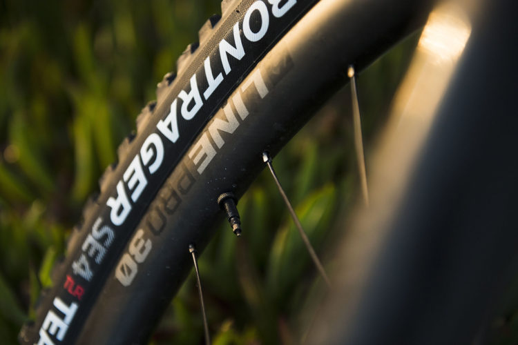 Close-up of a black bicycle tire, showing detailed lettering on the sidewall and a valve stem, with green foliage blurred in the background.