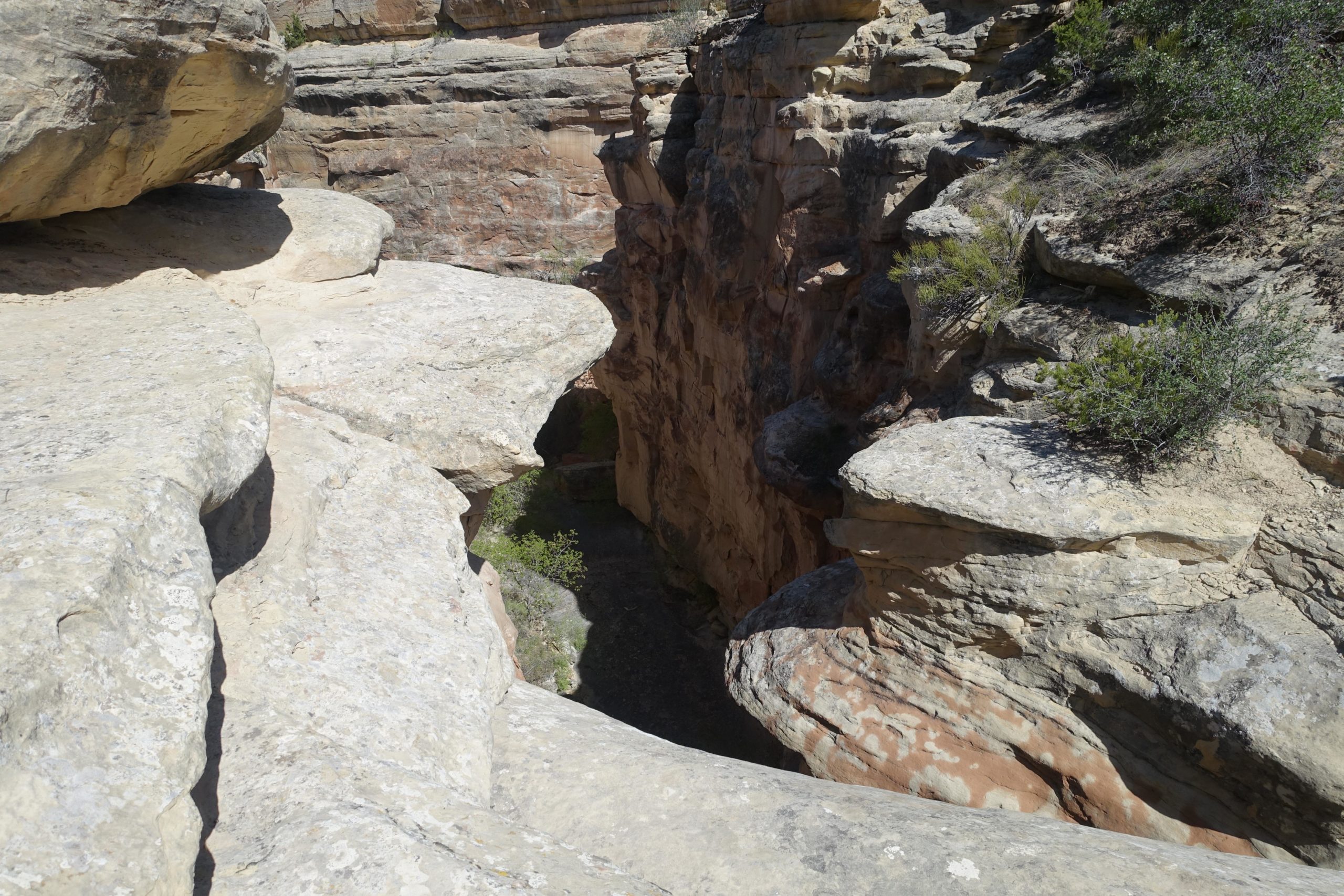 A narrow canyon surrounded by rugged rock formations, featuring large overhanging cliffs and patches of green vegetation along the canyon floor. The scene captures the natural beauty and geological features of the landscape under bright sunlight. The Ribbon mountain bike trail.