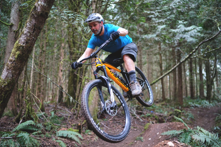A mountain biker in a blue shirt and helmet performs a jump over a trail in a dense forest, surrounded by trees and foliage. The biker shows an athletic stance with one wheel elevated off the ground while navigating the rugged terrain.
