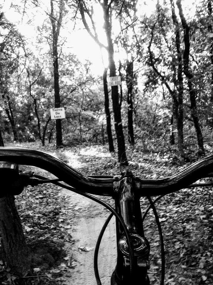 Kona Blast: A black and white image showing the handlebars of a bicycle on a dirt path through a forest. Sunlight filters through the trees, casting shadows on the ground. In the background, there are signs partially obscured by foliage.