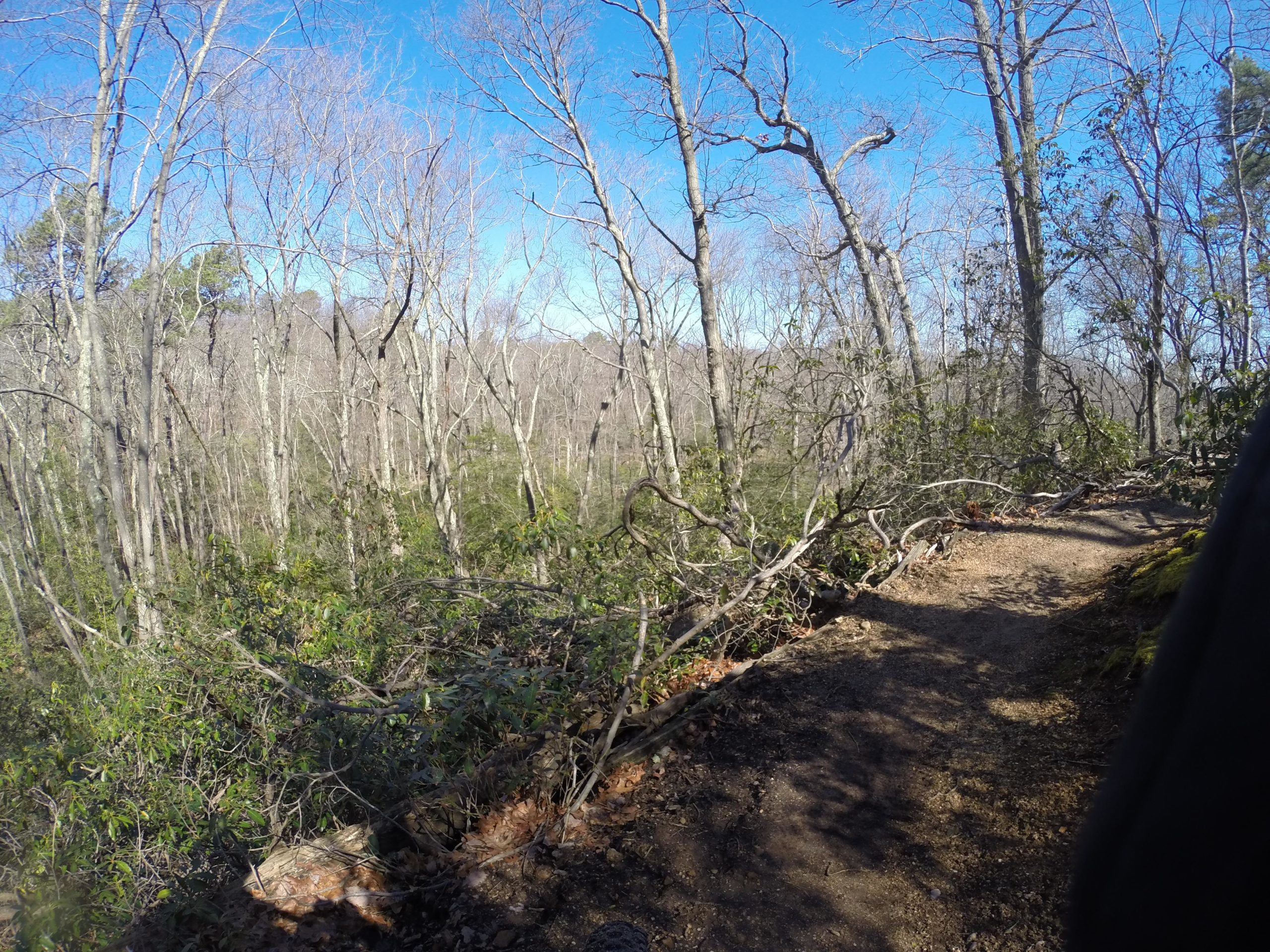 A dirt trail winding through a wooded area with bare trees and some green foliage visible. The sky is clear and blue, and the landscape is peaceful and quiet, suggesting a rural hiking path in early spring or late fall. Allaire State Park mountain bike trail.