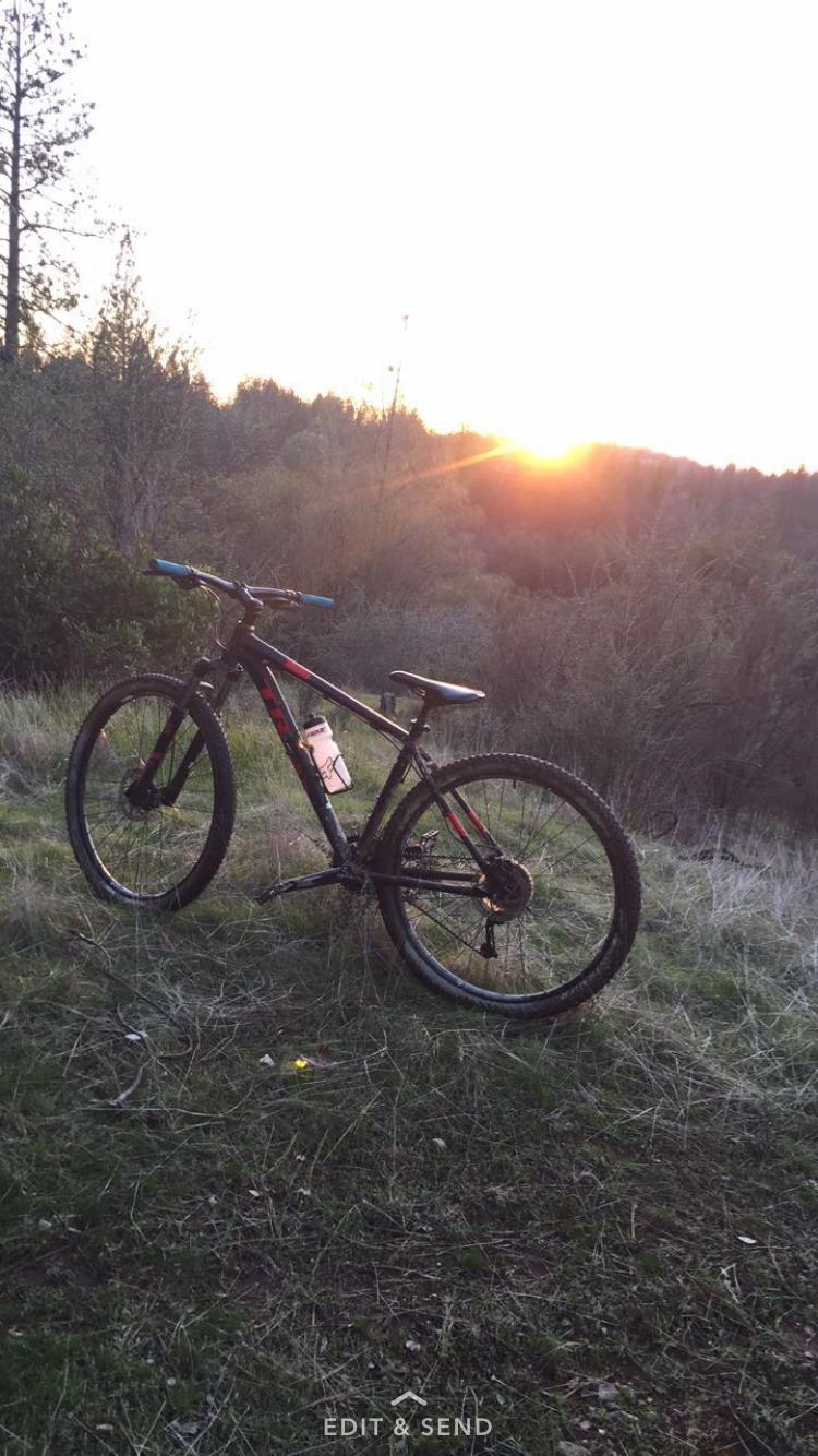 Trek 2017 Trek Marlin 7: A mountain bike is parked on grassy terrain, with a beautiful sunset illuminating the background. Trees are visible in the distance, creating a serene outdoor atmosphere.