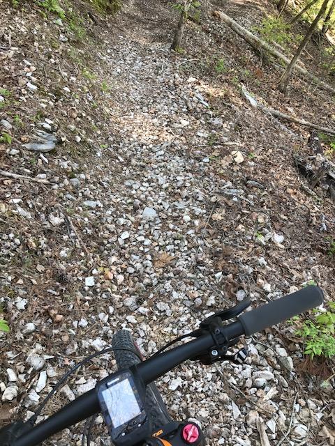 The image shows a mountain biking trail featuring a rocky path lined with leaves and earthy debris. The view is from the perspective of a cyclist, with the handlebars and part of the bike visible in the foreground. The trail winds through a wooded area with trees and vegetation lining the sides. Syllamo Trails mountain bike trail.
