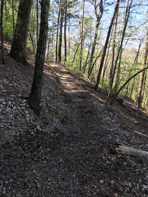 A winding dirt trail surrounded by tall trees and greenery, with sunlight filtering through the leaves. The path is clear, bordered by rocky soil and scattered twigs, suggesting a peaceful nature setting for walking or hiking. Syllamo Trails mountain bike trail.