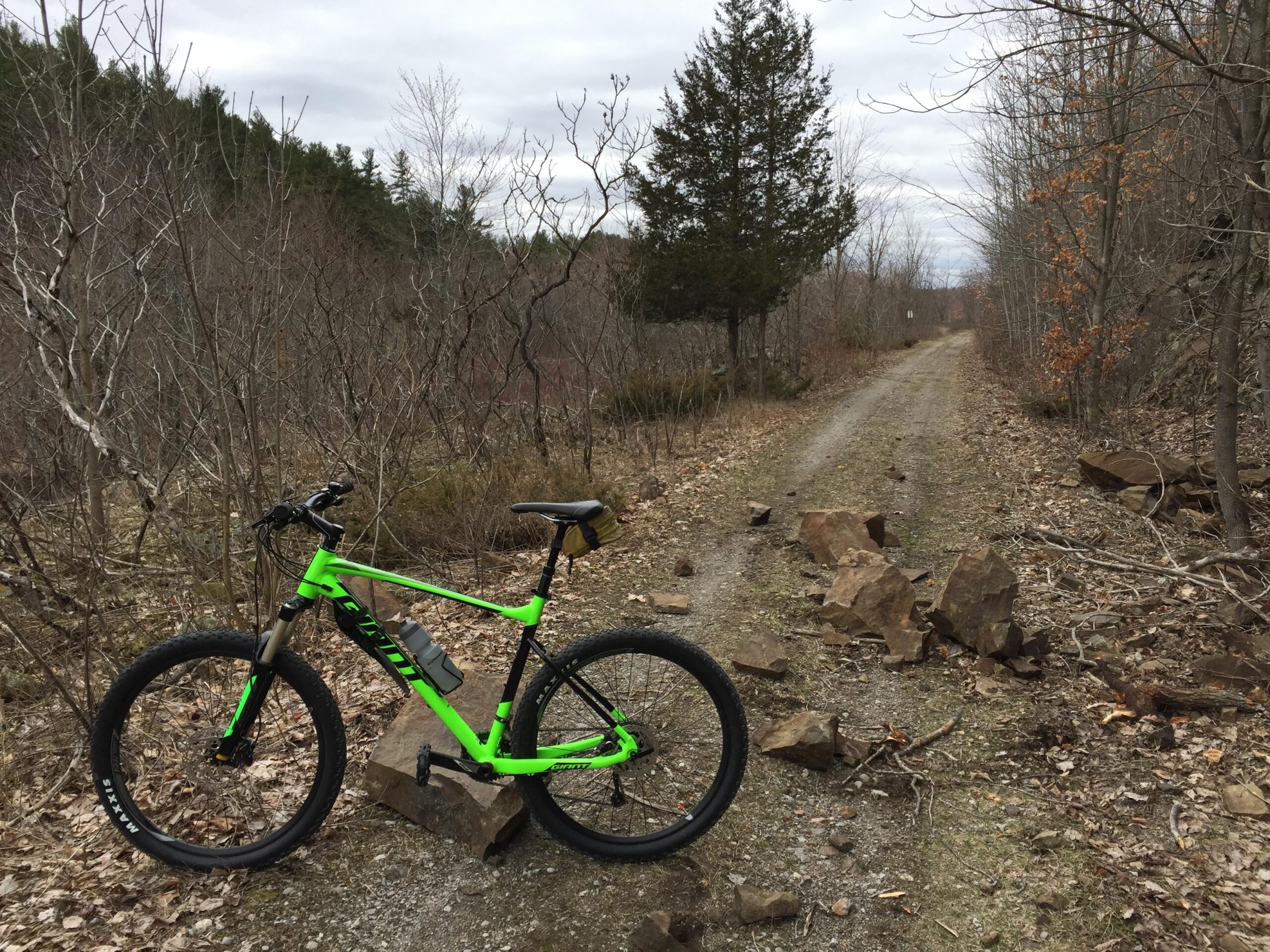 Giant Fathom 2 27.5: A bright green mountain bike is parked on a gravel trail surrounded by sparse trees and rocks. The path, flanked by bare branches and some remaining autumn foliage, leads into the distance under a cloudy sky.
