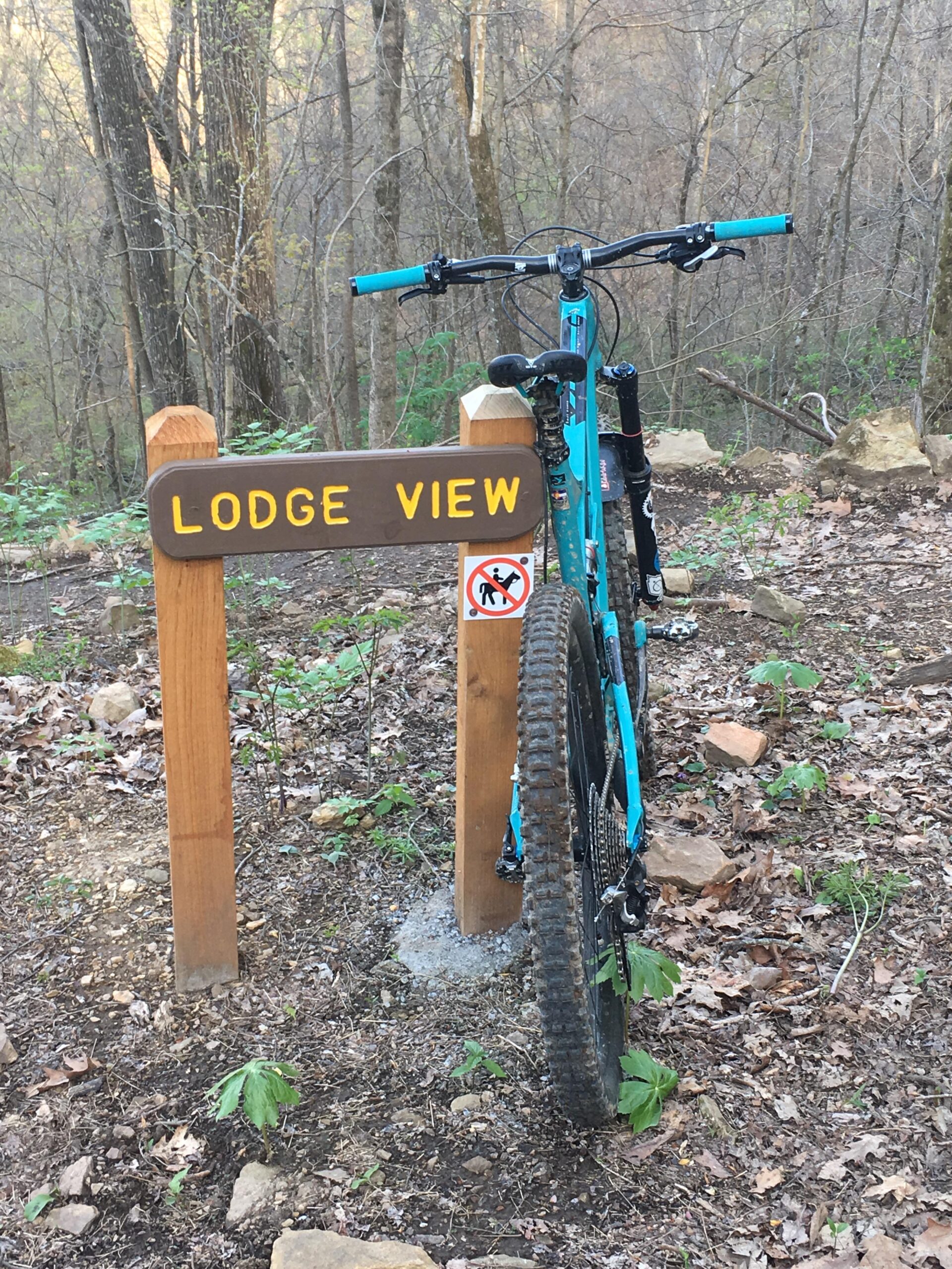 Yeti SB95: A mountain bike parked beside a wooden sign indicating "Lodge View," with a no dog sign underneath. The scene features a wooded area in the background, showcasing trees and foliage in early spring.