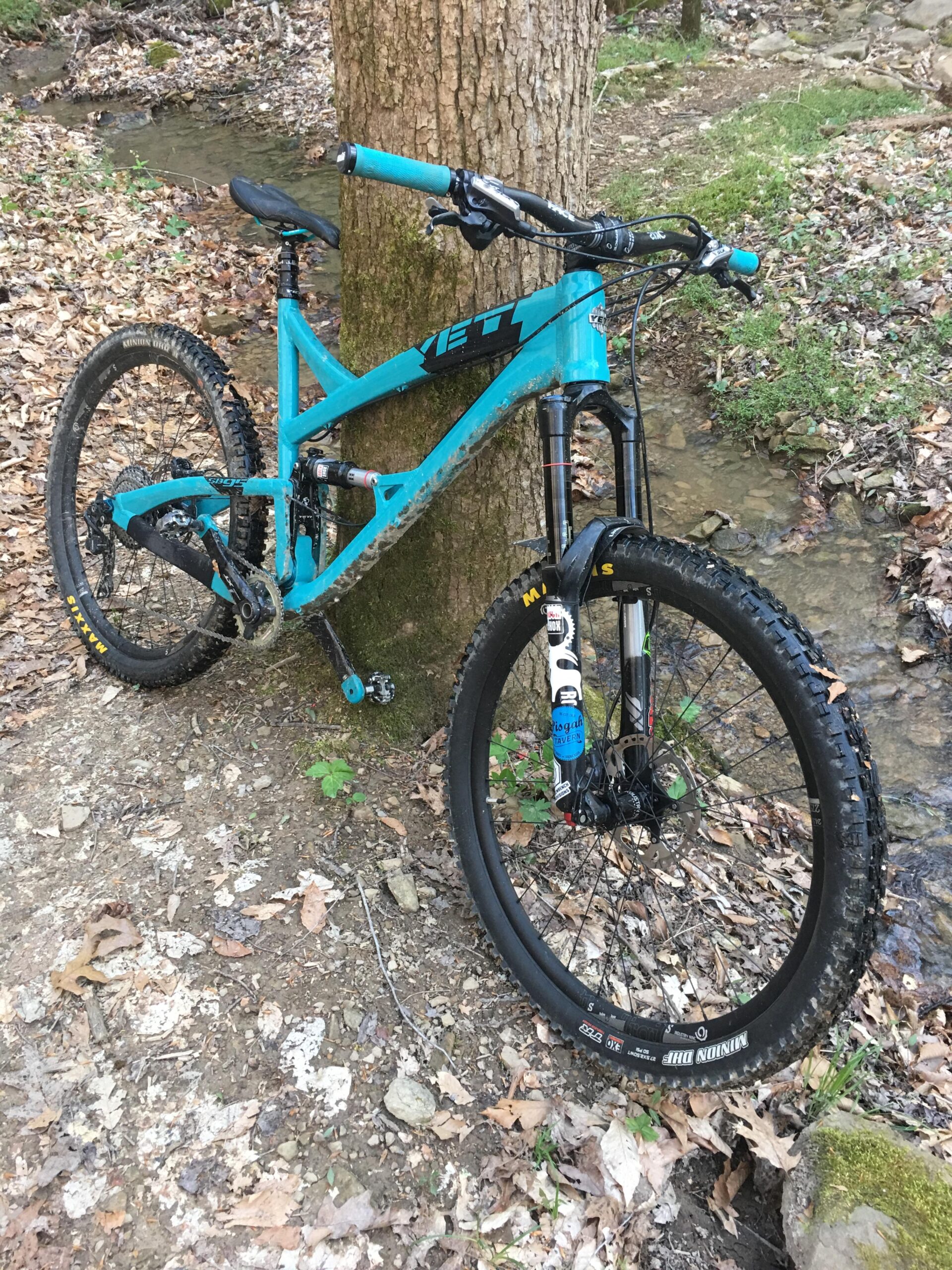 Yeti SB95: A bright blue mountain bike leaning against a tree in a forested area, surrounded by fallen leaves and near a small stream. The bike features thick tires and a sleek design, indicating it's built for off-road trails.