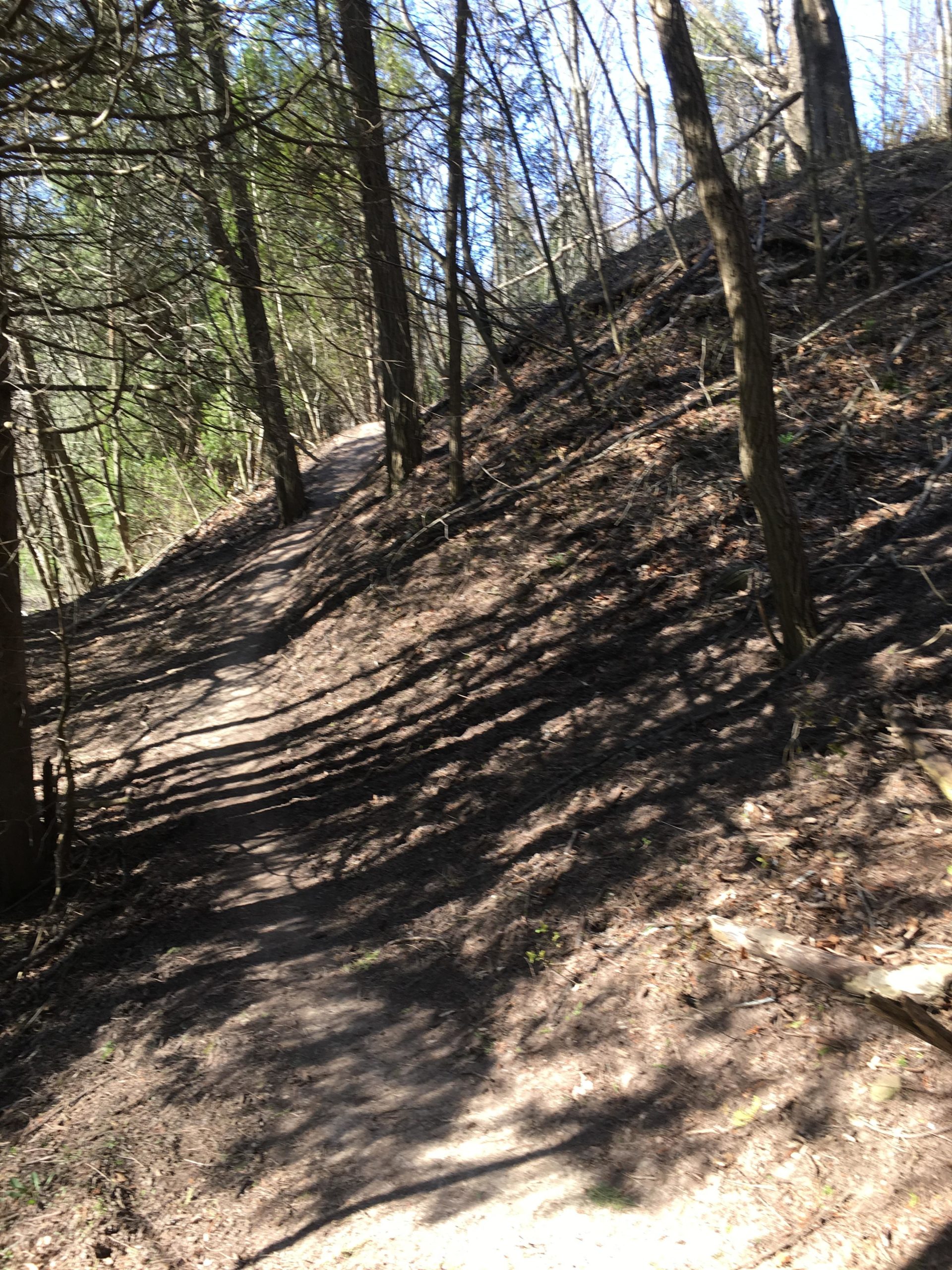 A winding dirt path through a wooded area, surrounded by tall trees and dappled sunlight. The trail is flanked by a slope covered in fallen leaves and sparse vegetation. Upper Lake Trail mountain bike trail.
