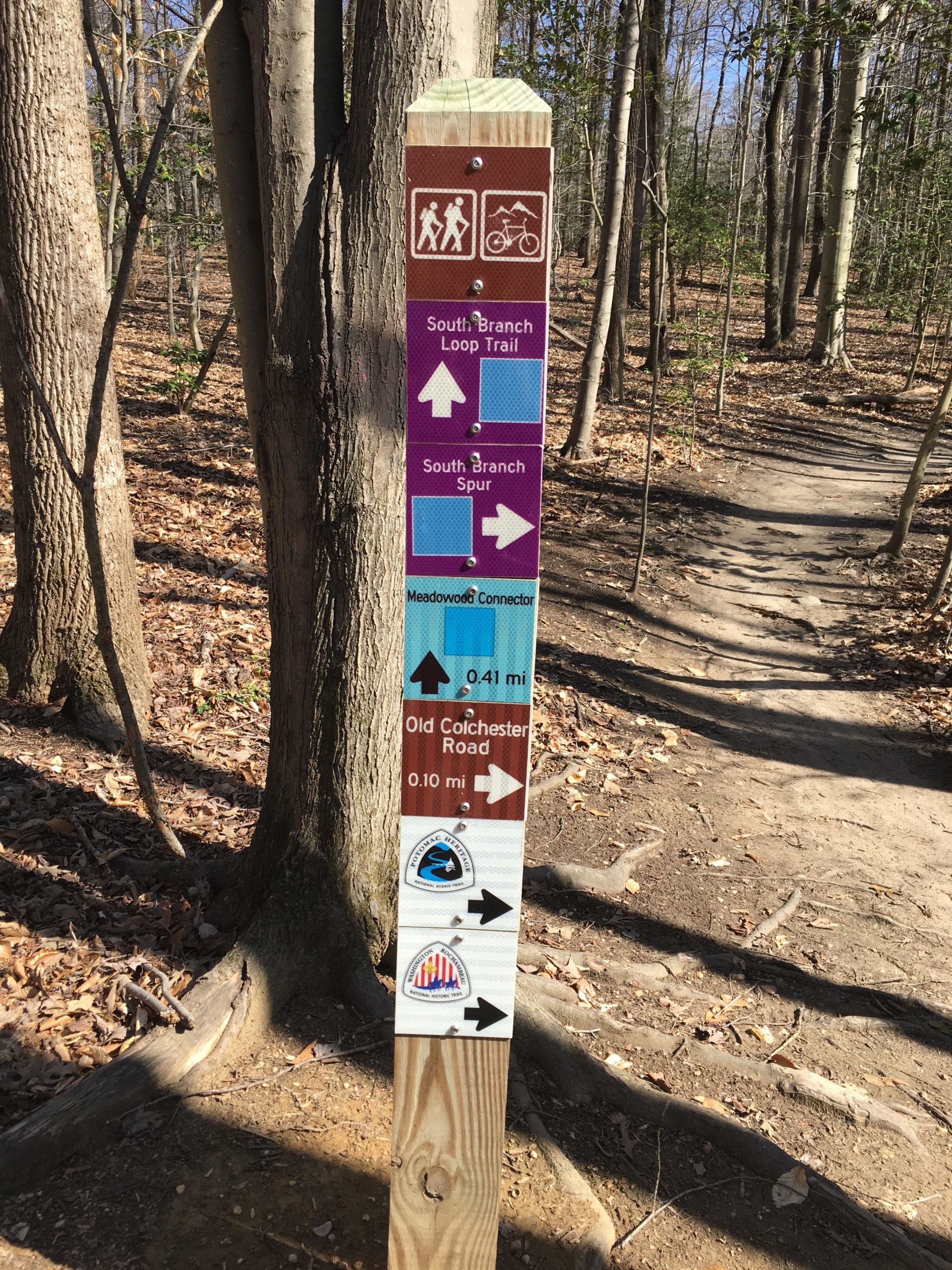 A wooden trail sign in a wooded area, displaying various trail options and distances. The sign indicates paths for walking and biking, including the South Branch Loop Trail, South Branch Spur, and Meadowood Connector, with corresponding arrows and distances of 0.41 miles and 0.10 miles to Old Colchester Road. The background features trees and leaf-covered ground. Meadowood mountain bike trail.