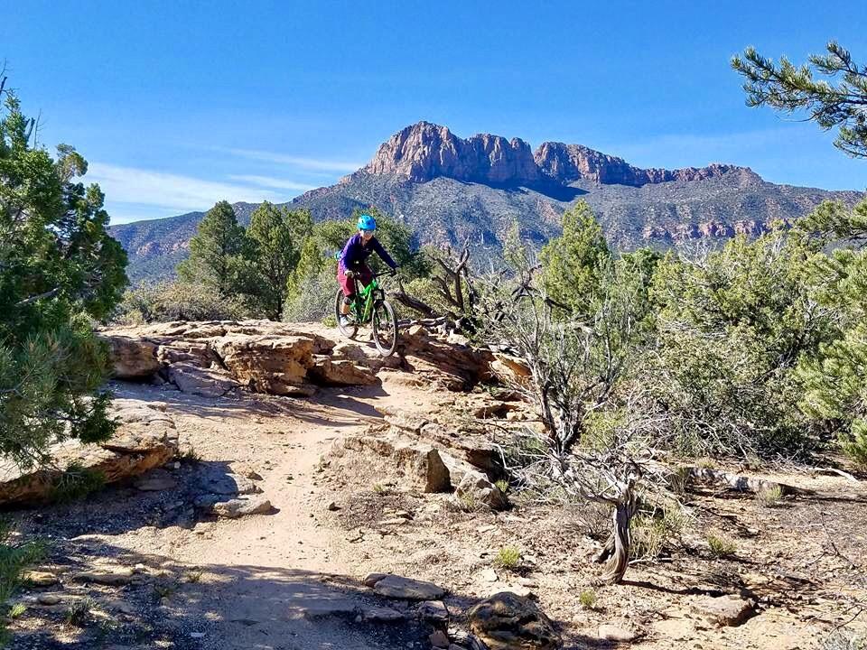 A mountain biker navigating a rocky trail surrounded by shrubs and trees, with a mountainous landscape in the background under a clear blue sky. Wire Mesa Loop mountain bike trail.