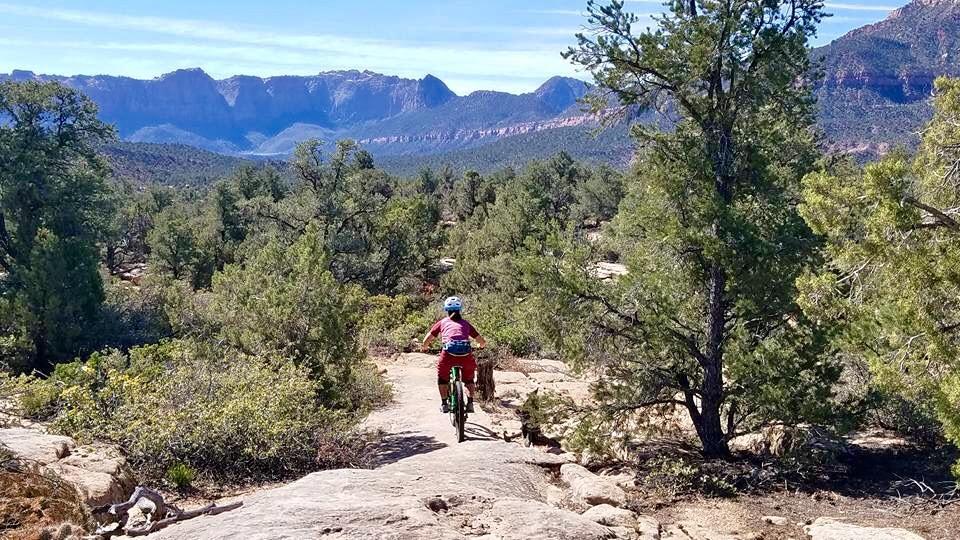 A person riding a mountain bike on a rocky trail through a forested area, with mountains visible in the background under a clear blue sky. Wire Mesa Loop mountain bike trail.