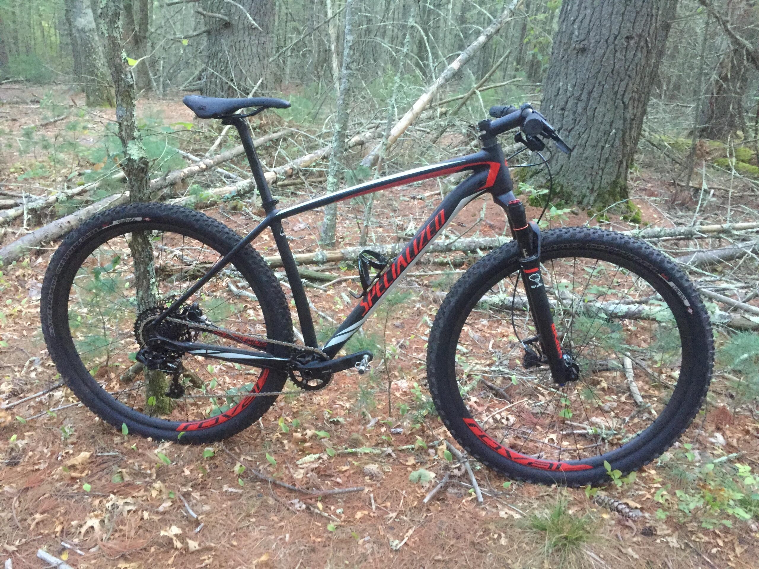 Specialized Stumpjumper: A mountain bike with black and red accents is leaning against a tree in a forested area. The background features tall trees and scattered fallen branches on the ground, with a mix of pine needles and foliage. The bike's tires are designed for off-road terrain, showcasing its suitability for trail riding.