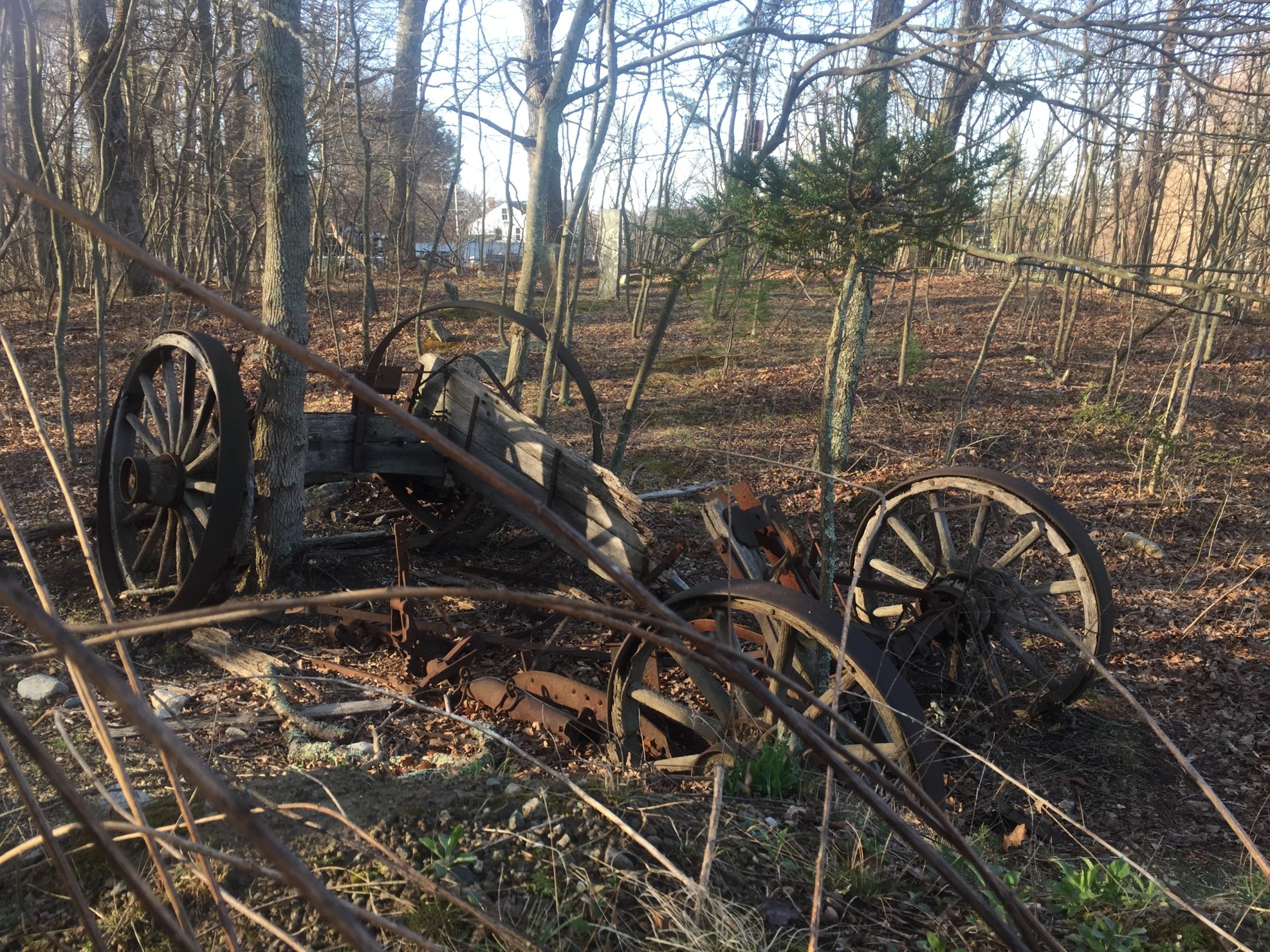 An abandoned wagon with wooden wheels and rusted metal parts amidst a forest landscape. Surrounding the wagon are trees with sparse leaves, scattered brown leaves on the ground, and hints of underbrush. Soft sunlight filters through the trees, highlighting the scene. Snake Den State Forest mountain bike trail.