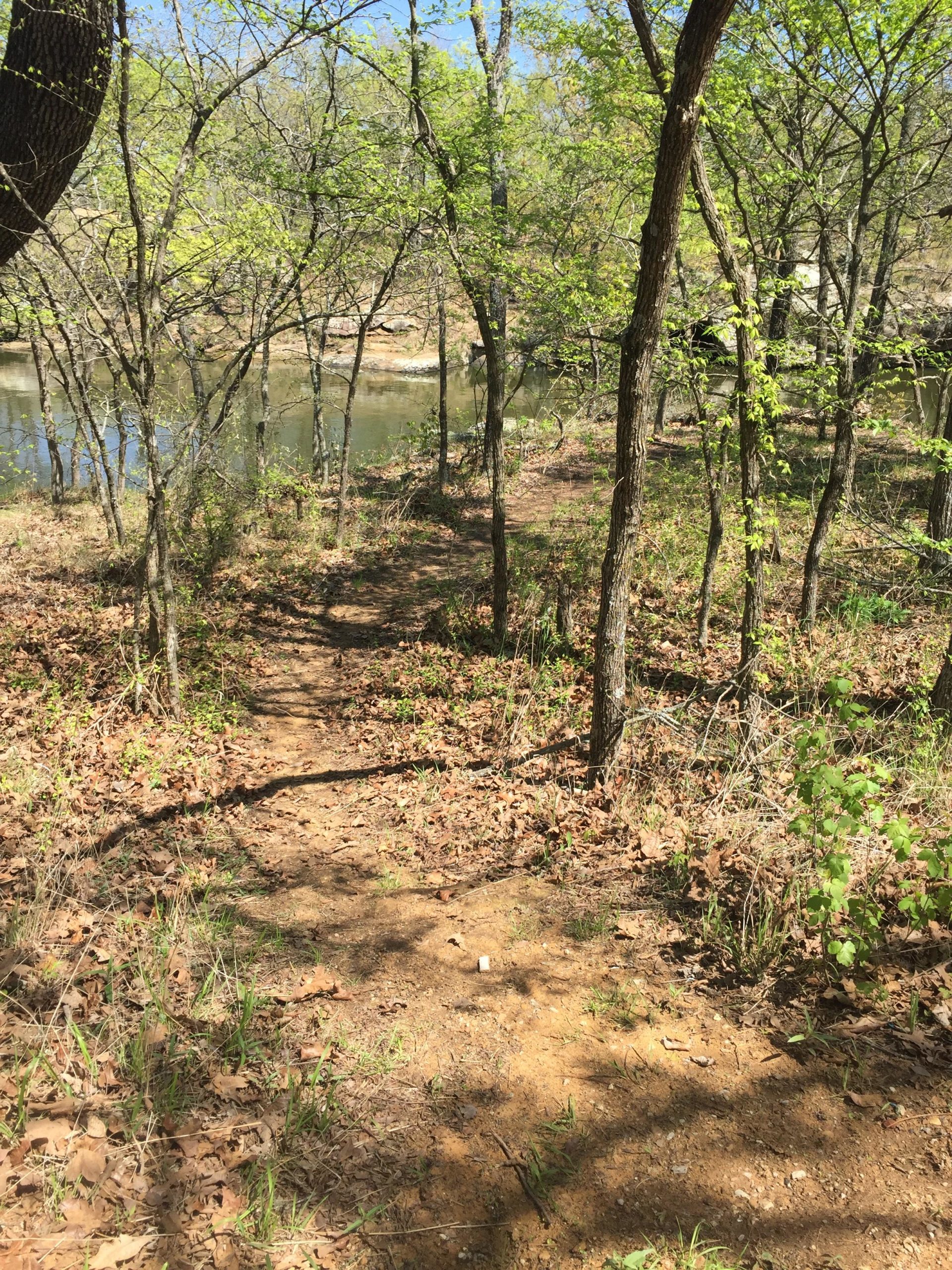 A tranquil wooded path leading to a calm river, bordered by trees with fresh green leaves and scattered fallen leaves on the ground. The scene captures the beauty of nature on a sunny day. Claremore mountain bike trail mountain bike trail.