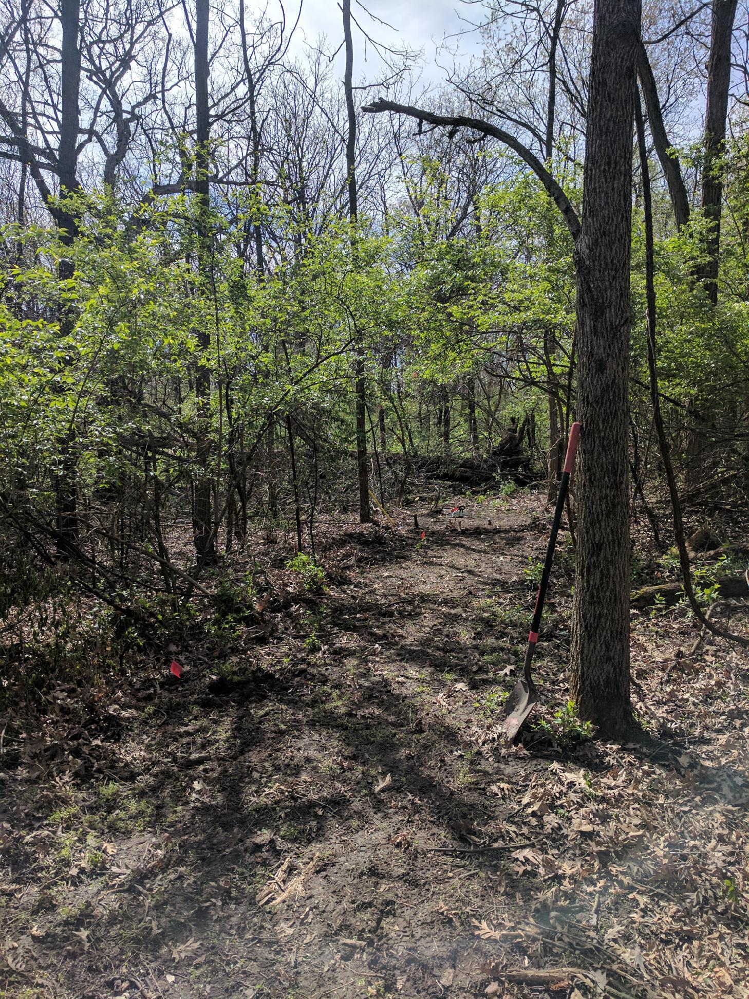  Raceway Woods mountain bike trail.