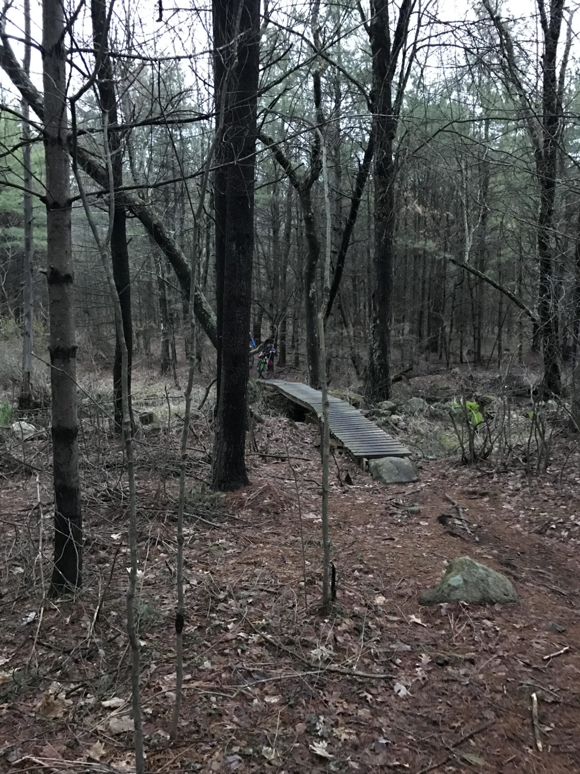 A wooden bridge winding through a dense forest, surrounded by tall trees and patches of underbrush. The scene is dimly lit, suggesting an overcast day. In the background, a hint of colorful clothing from a person can be seen near the bridge. The forest floor is covered with brown leaves and pine needles. Musquash Conservation Area mountain bike trail.