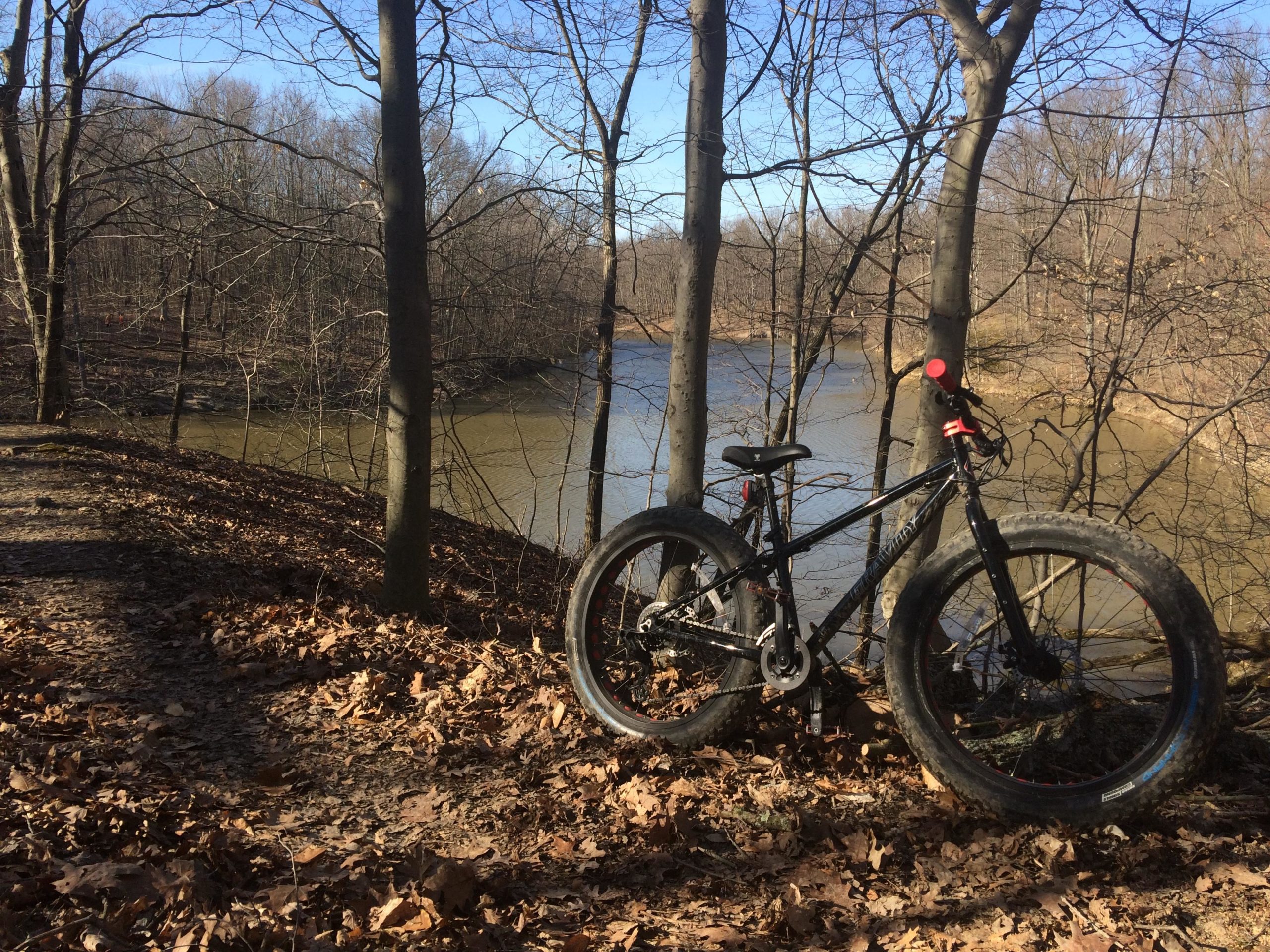 A black fat bike with red accents leaning against a tree by a riverbank, surrounded by bare trees and fallen leaves under a clear blue sky. Alum Creek Phase II mountain bike trail.