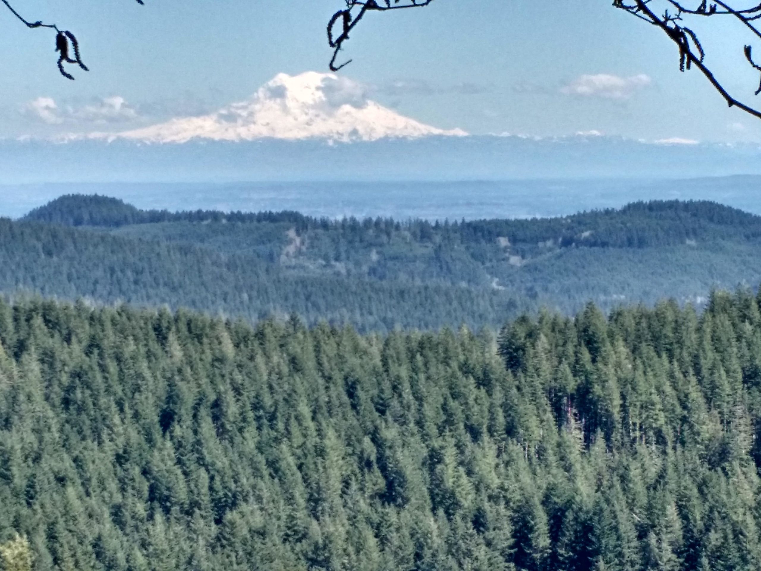 A scenic landscape view featuring a snow-capped mountain in the background, surrounded by a dense forest of evergreen trees. The image captures a clear blue sky and rolling hills in the distance, showcasing natural beauty and tranquility. Green line 8 mountain bike trail.