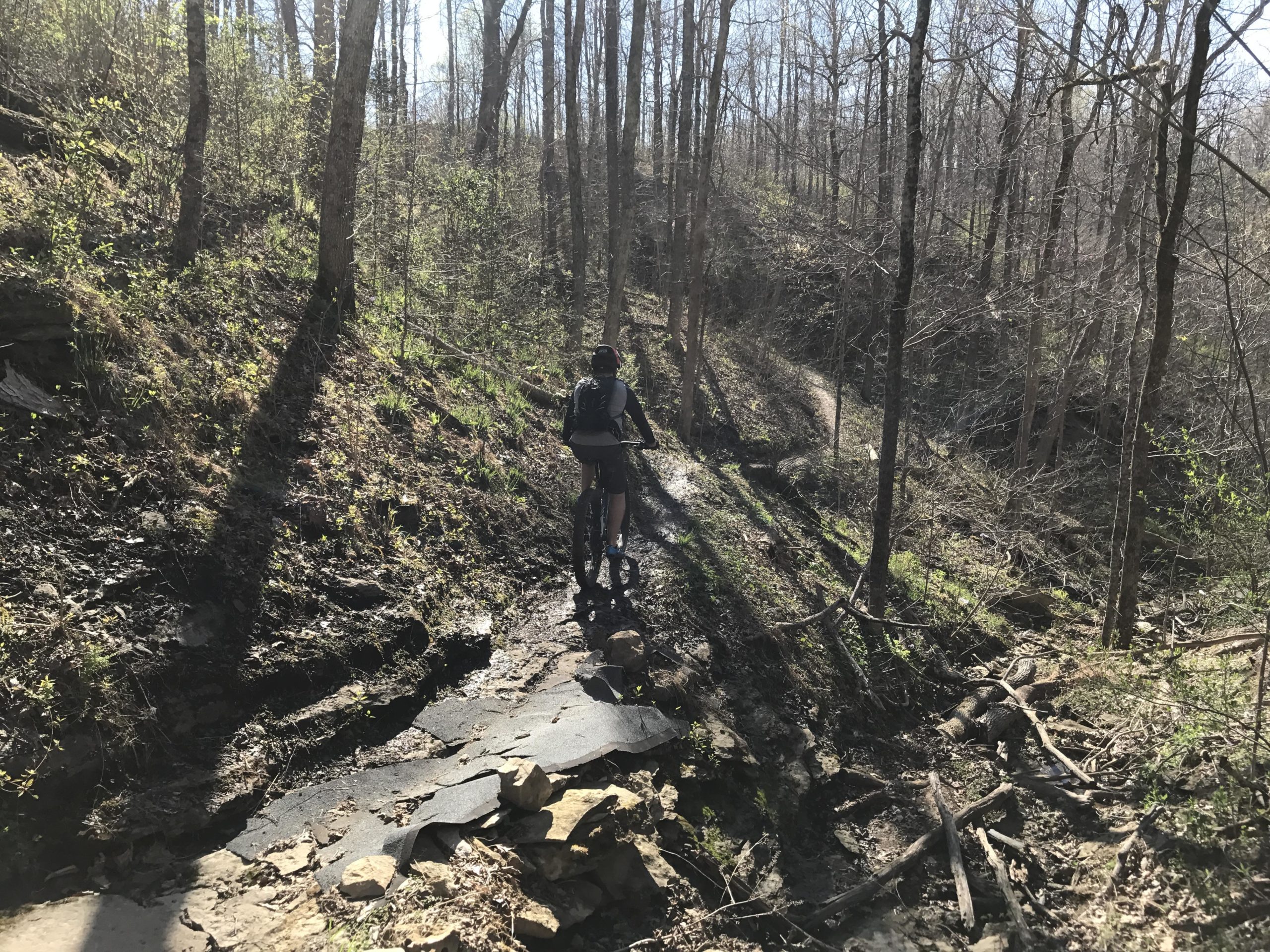 A cyclist on a mountain bike navigating a rocky trail in a forested area, surrounded by trees and sunlight filtering through the branches. The path is uneven and partially covered with stones and muddy sections. Youngers Creek mountain bike trail.