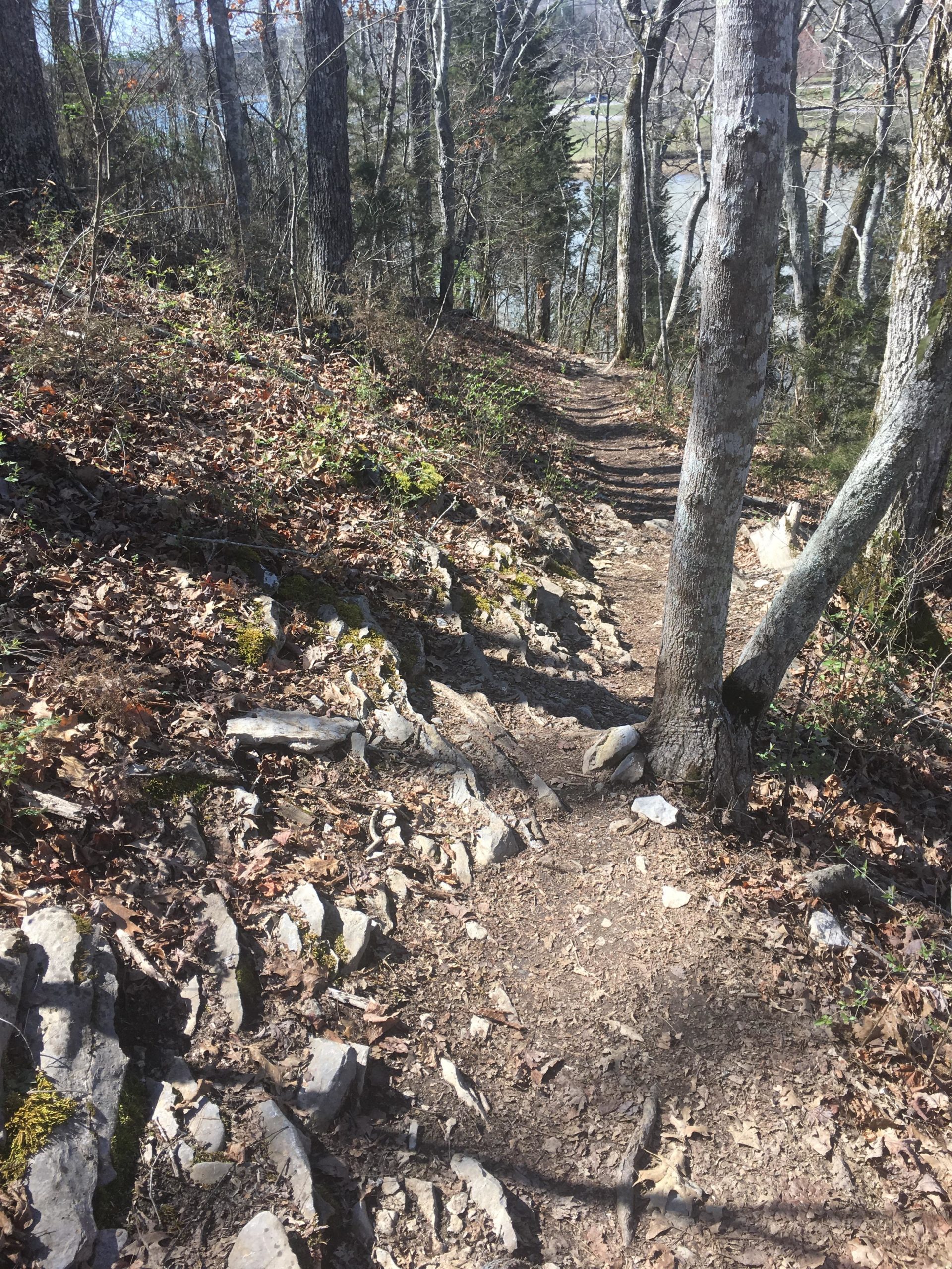 A winding dirt trail surrounded by trees and underbrush, with rocky patches and fallen leaves along the path. The trail leads towards a lake visible in the background, set in a serene, natural landscape. Haw Ridge Park mountain bike trail.