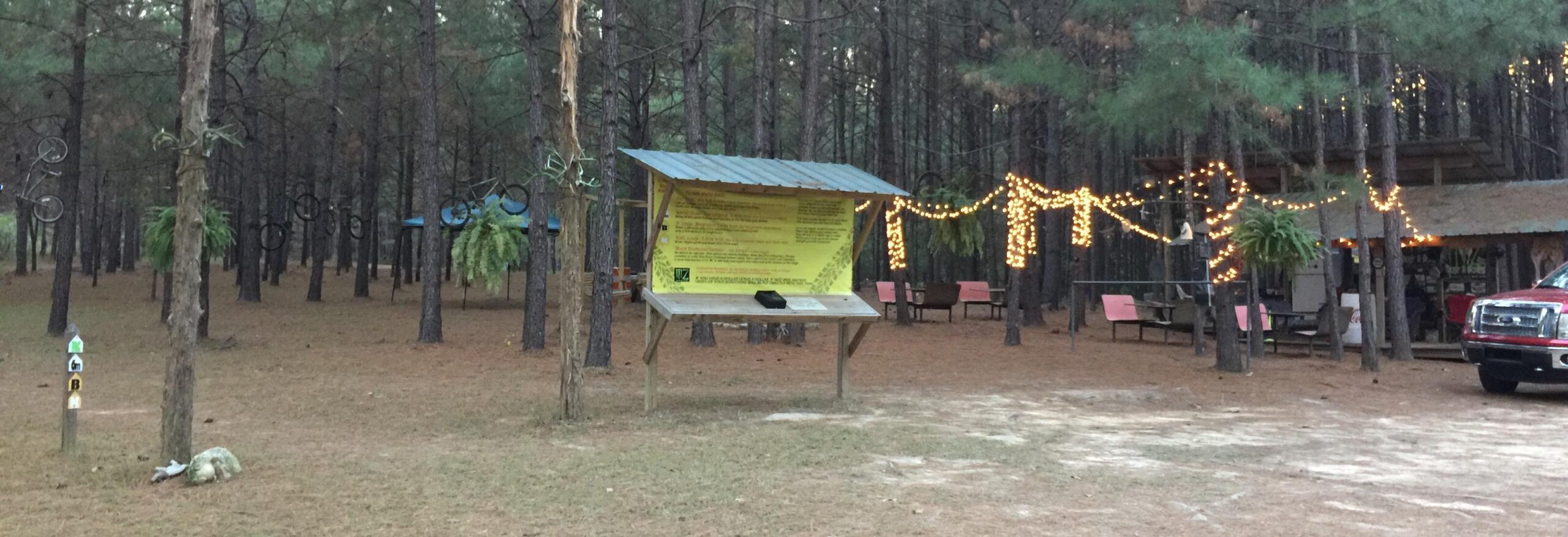 A rustic outdoor setting surrounded by tall pine trees, featuring a wooden information kiosk with a yellow sign. The area has decorative string lights hanging between the trees and a few benches nearby. A red pickup truck is parked on the gravel ground, and bicycle wheels can be seen attached to the trees, adding a whimsical touch to the environment.