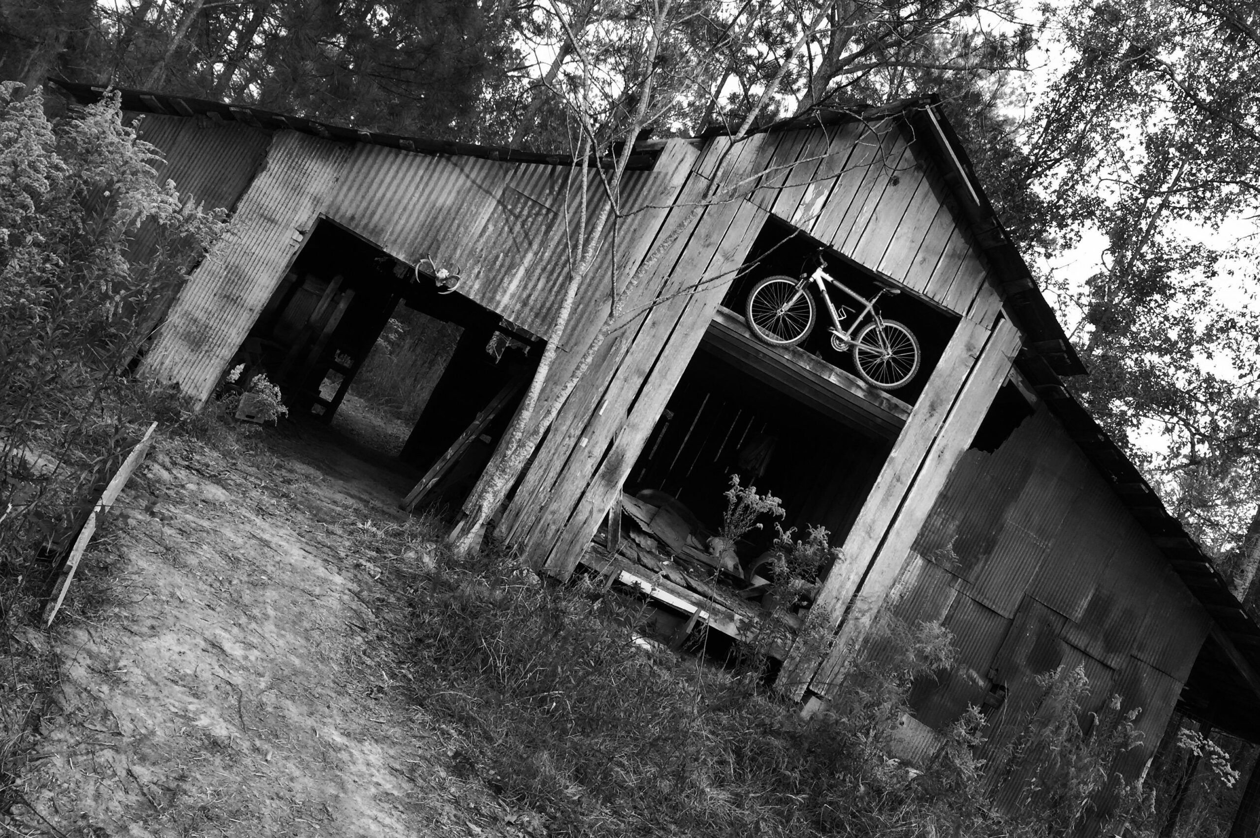 An old, rustic barn with a slanted roof, partially overgrown with grass and weeds. A white bicycle is stored on a shelf inside the barn, visible through an open doorway. The image is in black and white, emphasizing the weathered texture of the wooden and corrugated metal walls.
