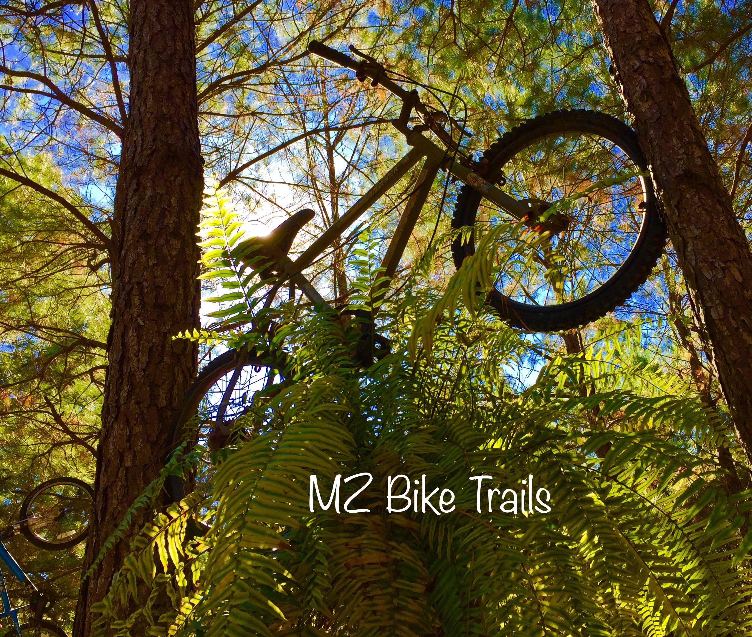 A mountain bike is suspended between two trees, partially obscured by ferns, with sunlight filtering through the branches. The scene captures the essence of the MZ Bike Trails, showcasing a natural, outdoor setting.