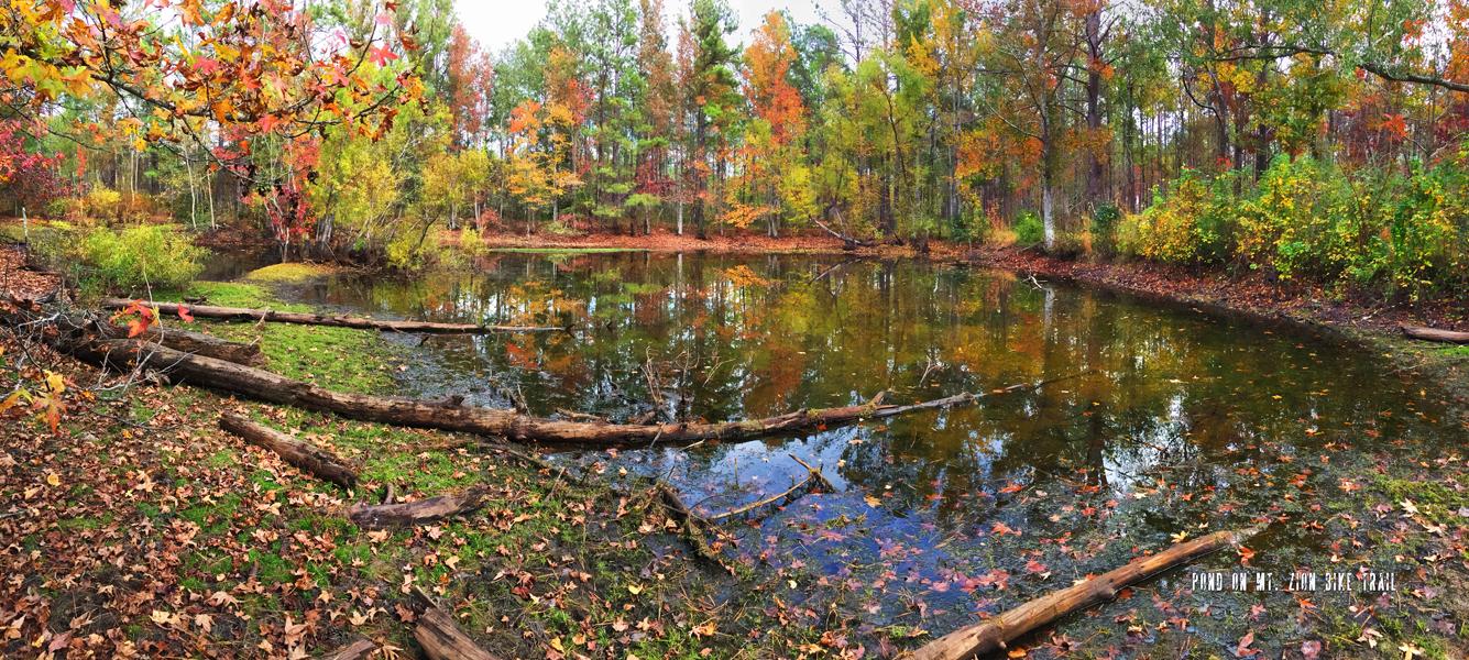 A serene panorama of a pond surrounded by autumn foliage, featuring vibrant colors of red, orange, and yellow trees reflecting on the water's surface. Fallen leaves litter the ground, and several logs are positioned near the water's edge, creating a peaceful natural setting.