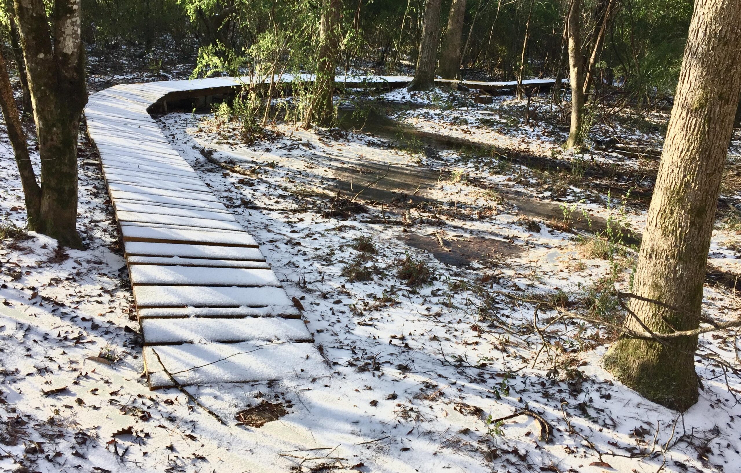 A winding wooden pathway through a snowy forest floor, surrounded by trees and scattered leaves. Sunlight casts gentle shadows on the path, creating a tranquil and serene natural setting.