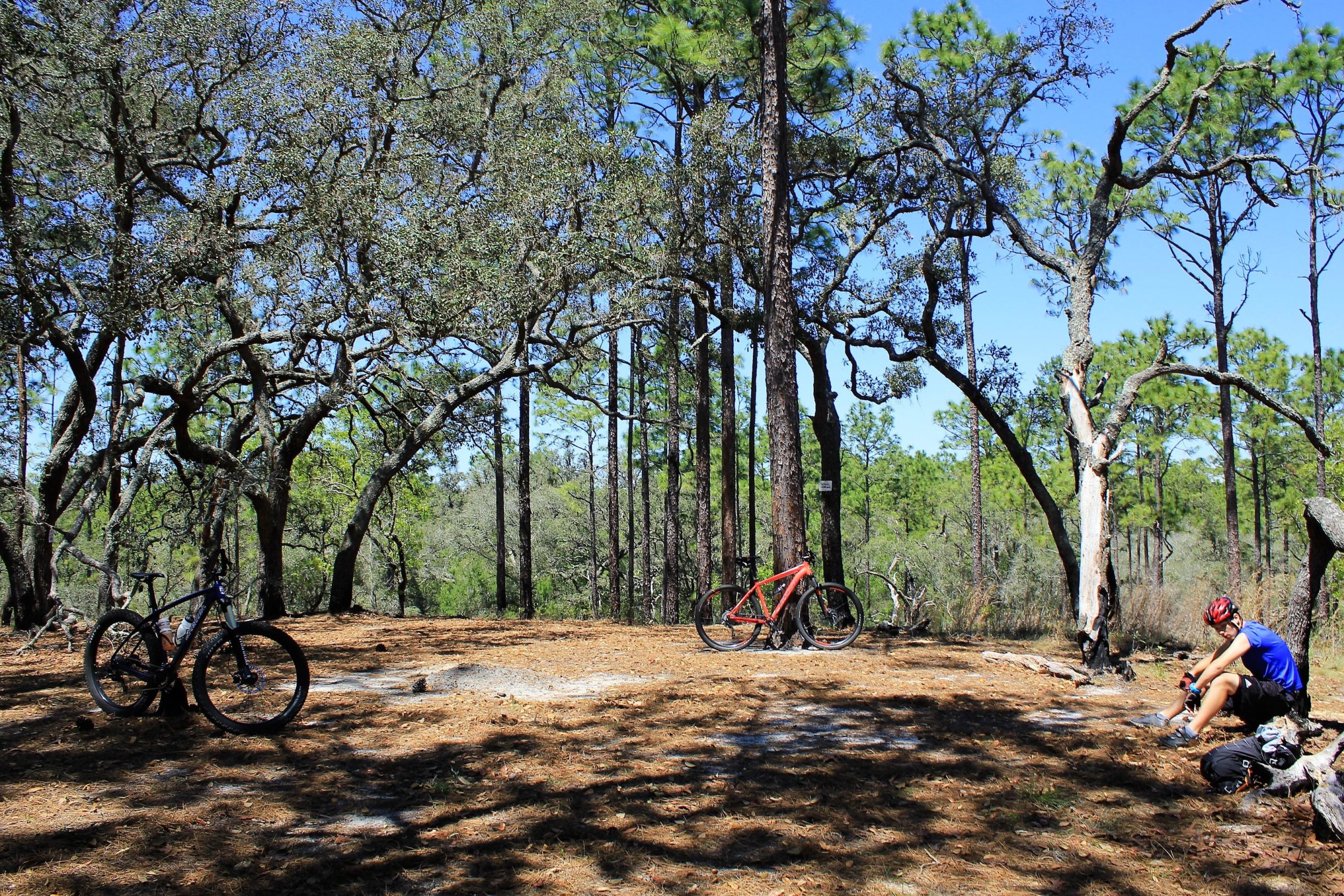 A serene outdoor scene featuring a wooded area with tall trees and sunlight filtering through the leaves. Two mountain bikes are parked on the forest floor covered with pine needles, while a person sits on the ground nearby, resting and preparing for their ride. The setting conveys a sense of adventure and tranquility. Withlacoochee State Forest: Croom Section mountain bike trail.