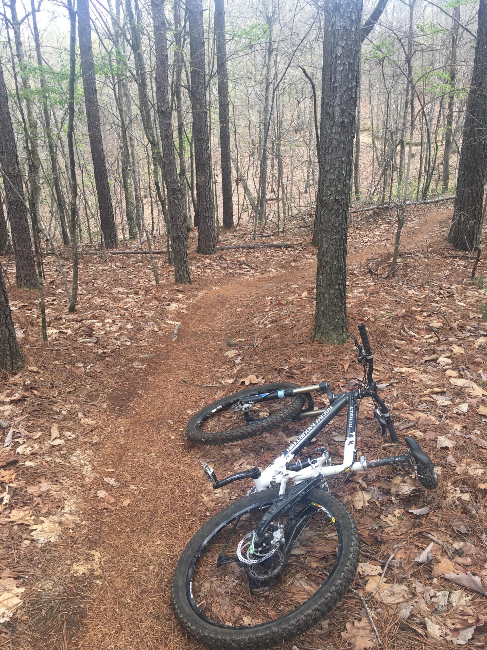 Rocky Mountain ETSX-70: A dirt trail winding through a forest, with fallen leaves covering the ground. Two mountain bikes lie on the trail, one partially upright, next to tall trees with bare branches. The scene is set in a tranquil, overcast environment.