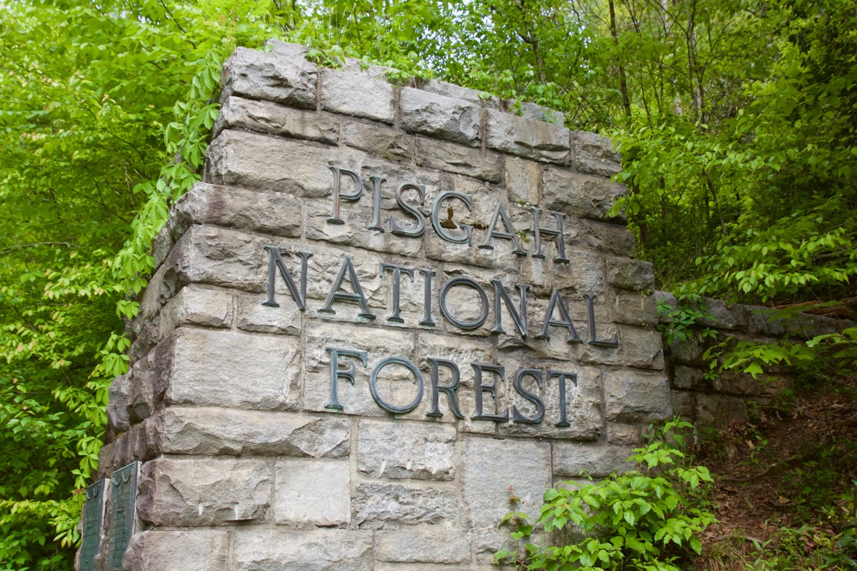 USDA proposal threatens 58 million acres of popular National Forest trail systems