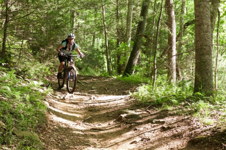 Everything You Need to Know About Mountain Biking and Visiting Pisgah