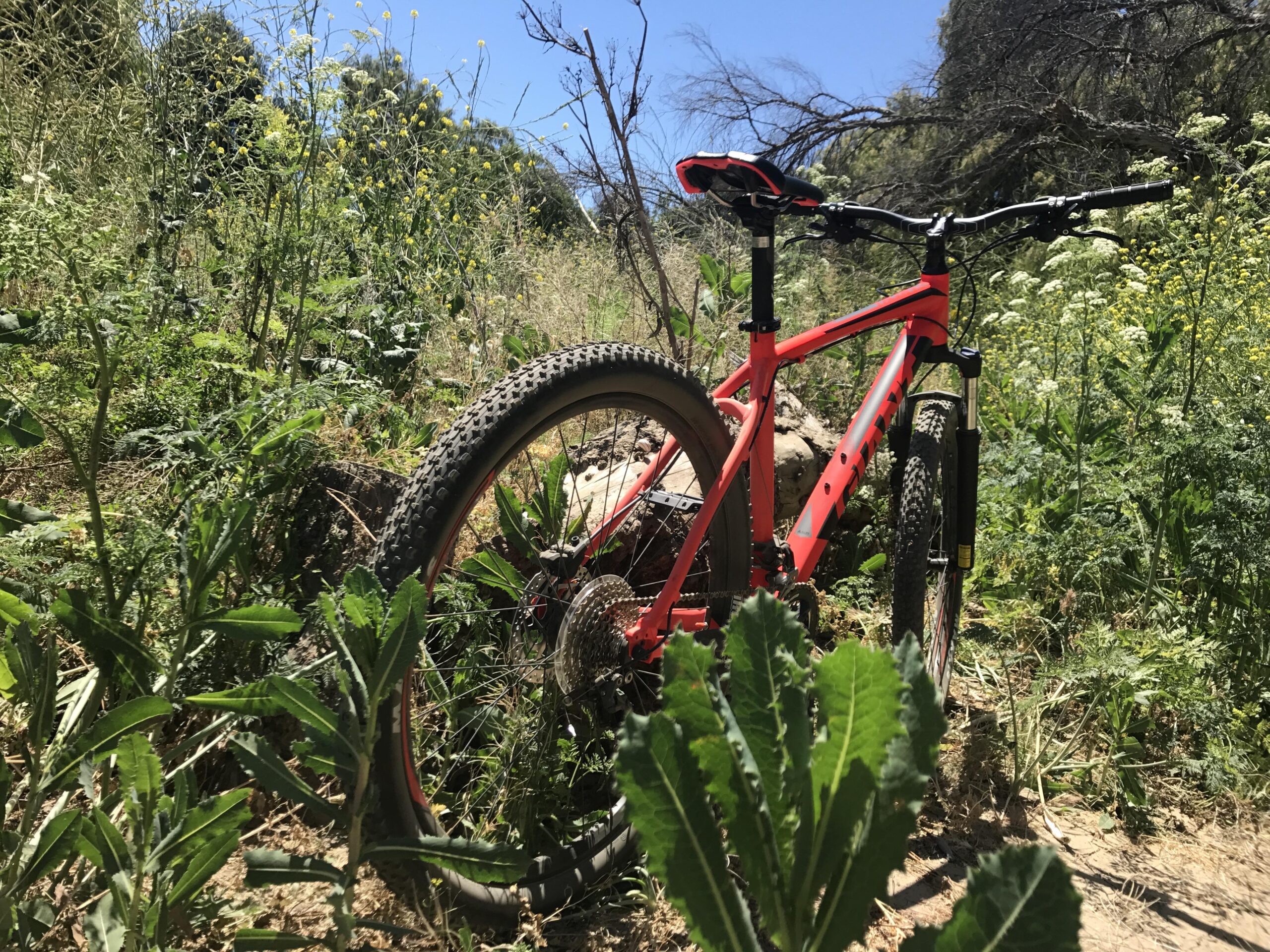 Giant Talon 27.5 2: A red mountain bike parked among lush green vegetation, with wildflowers and tall grass surrounding it. The scene is set in a natural outdoor environment under a clear blue sky.
