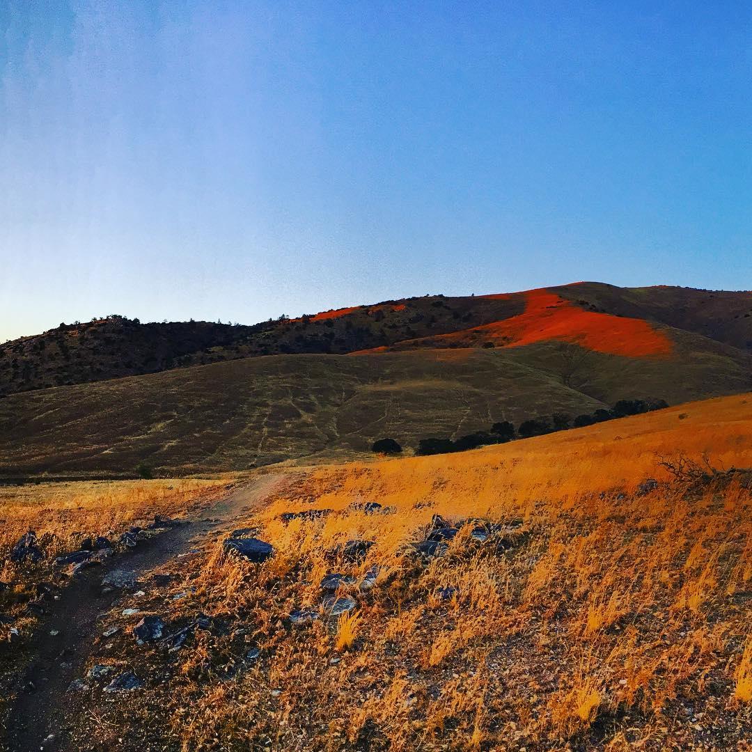 A scenic landscape featuring rolling hills covered in golden grasses under a clear blue sky. A winding dirt path leads through the foreground, bordered by scattered rocks, while the hills in the distance exhibit a warm reddish hue. TMTA Lehigh trails mountain bike trail.