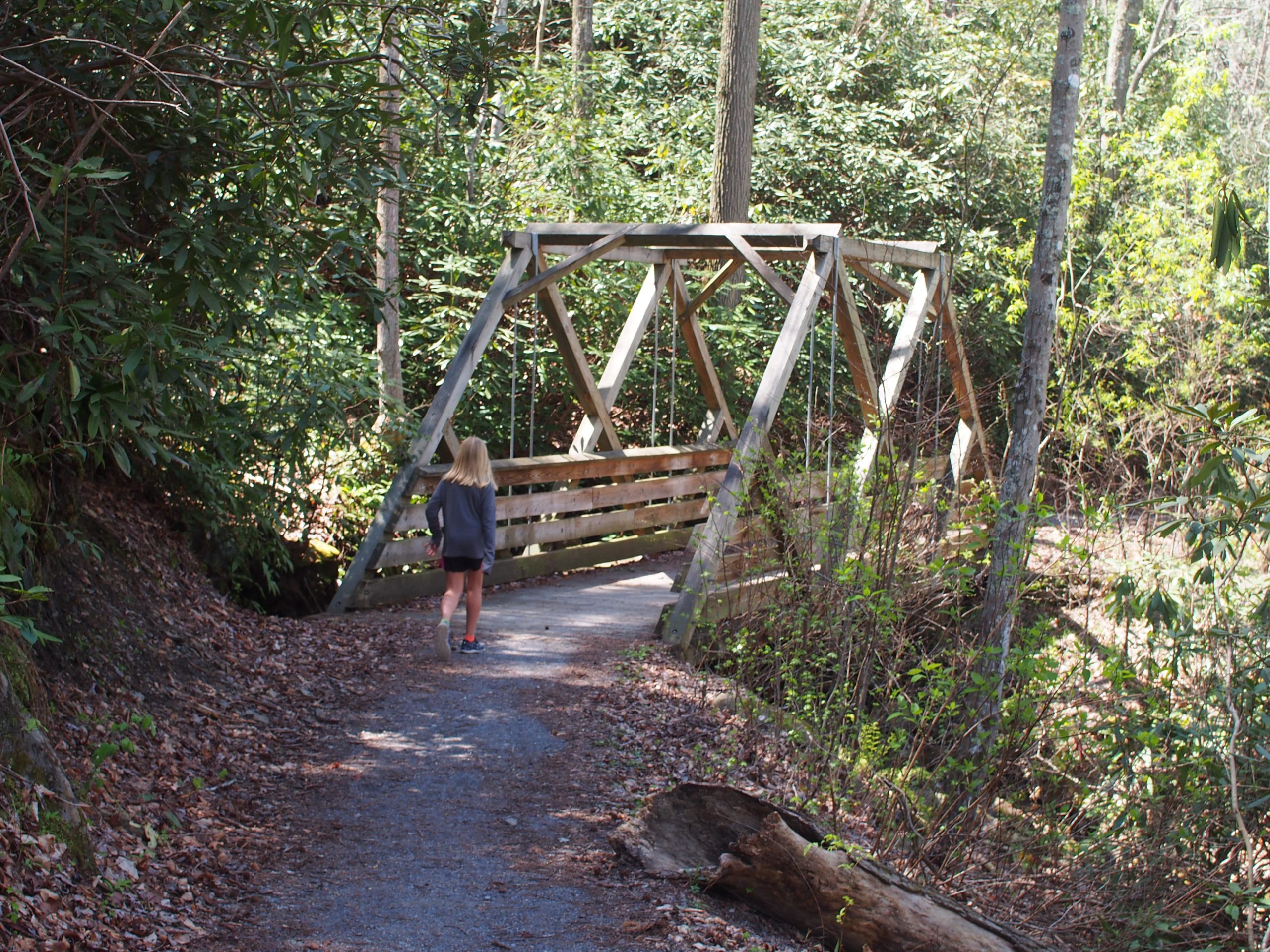 A person walking along a gravel path in a forested area, approaching a wooden bridge framed by lush greenery and trees. Leaves cover the ground, indicating a natural, serene environment. Tanasi Trail System mountain bike trail.