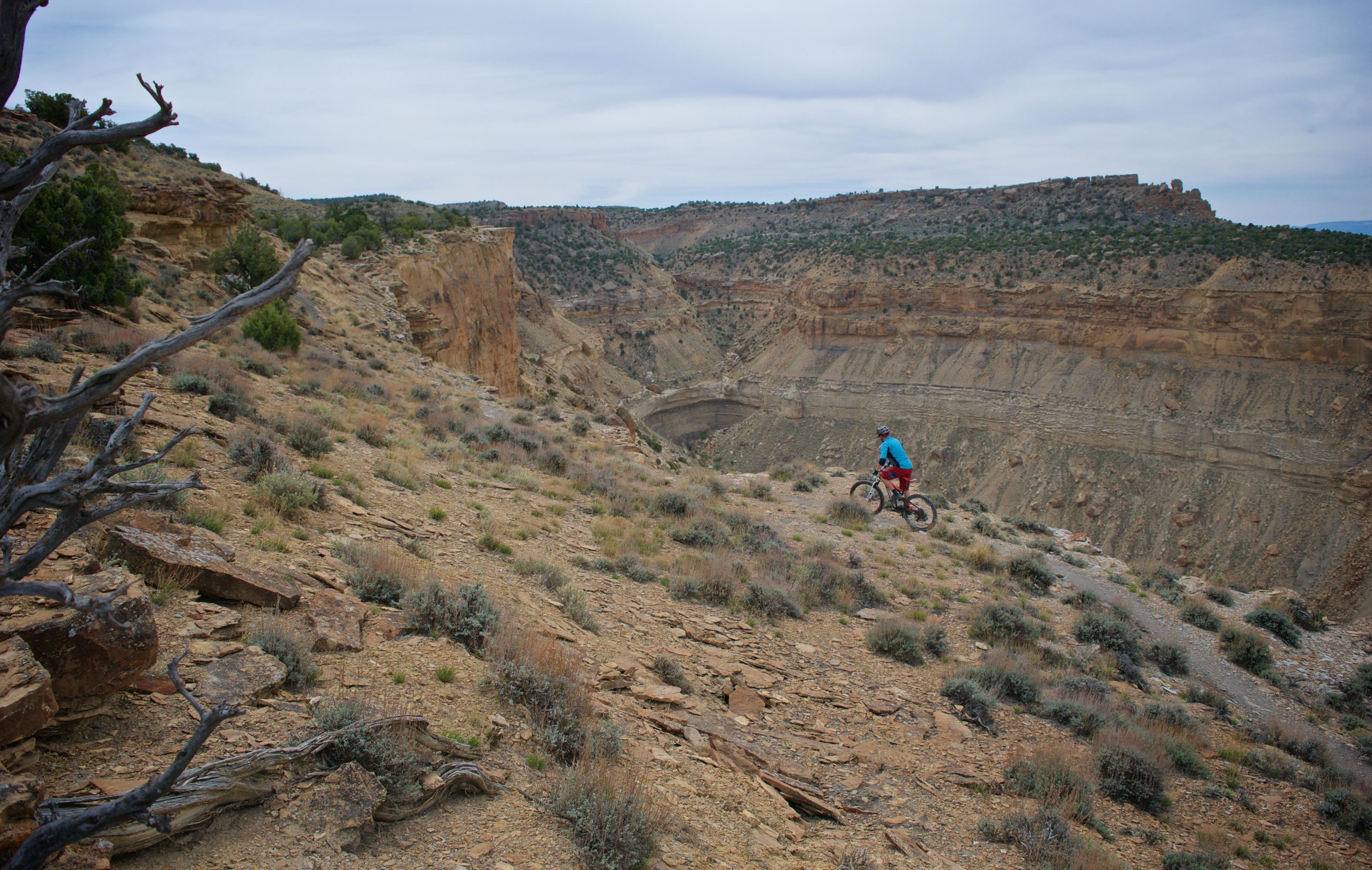 A mountain biker rides along a rugged trail overlooking a canyon, surrounded by rocky terrain and sparse vegetation under a cloudy sky. Palisade Rim mountain bike trail.