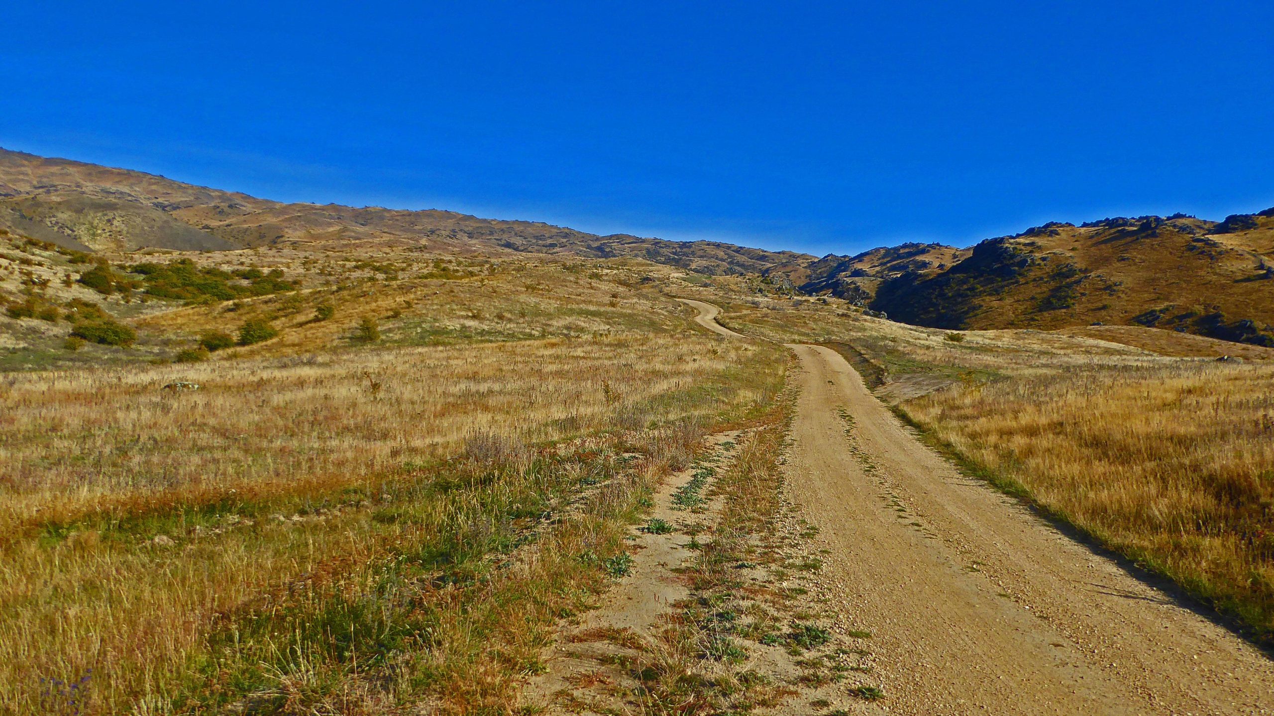 A winding dirt road traverses a grassy, hilly landscape under a clear blue sky. The surrounding hills are covered with dry grass and patches of green vegetation, creating a serene and natural setting. Obelisk mountain bike trail.
