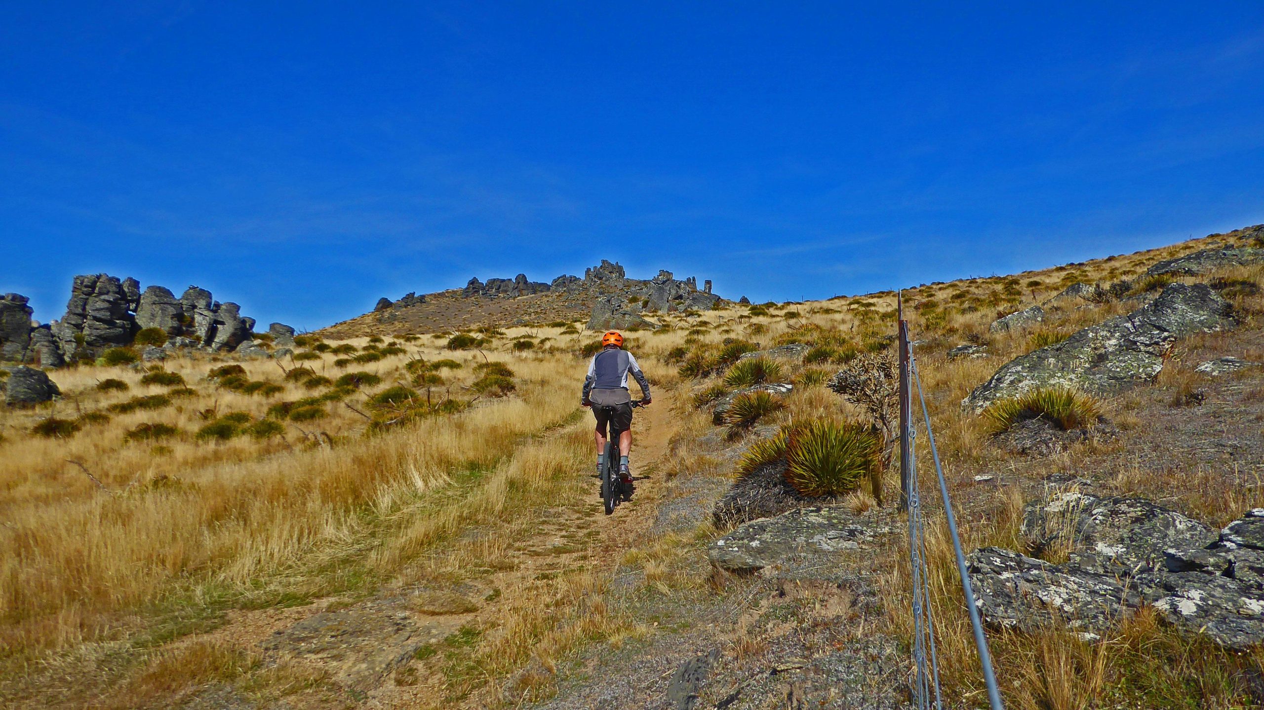 A person riding a mountain bike on a dirt trail surrounded by golden grassy hills and rocky outcrops under a bright blue sky. Obelisk mountain bike trail.