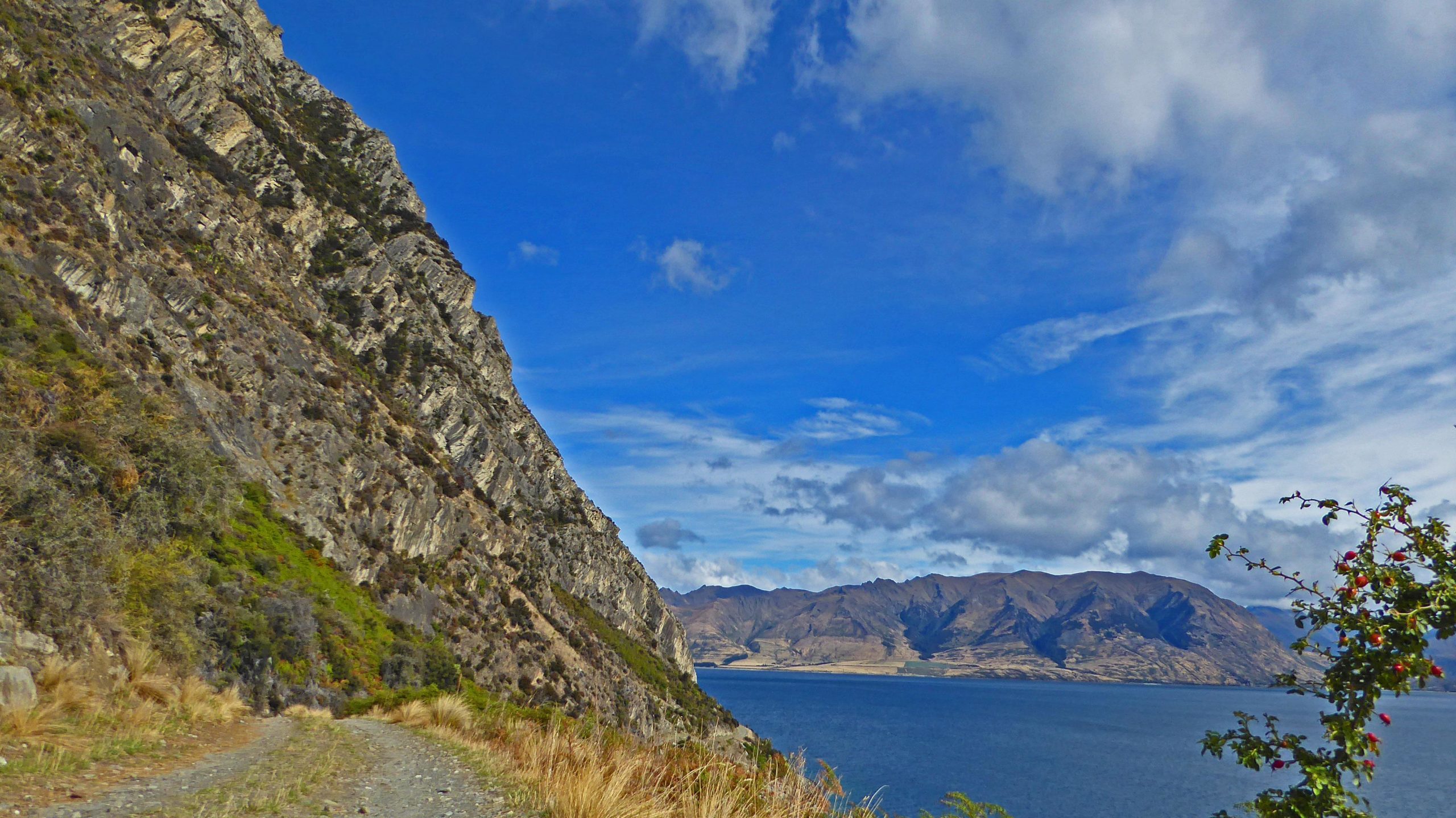 A scenic view of a mountain landscape featuring steep rocky cliffs on the left, a calm blue lake in the foreground, and distant mountains under a partly cloudy sky. The road winding along the lakeside is lined with patches of green vegetation and grasses. Dingle Burn mountain bike trail.
