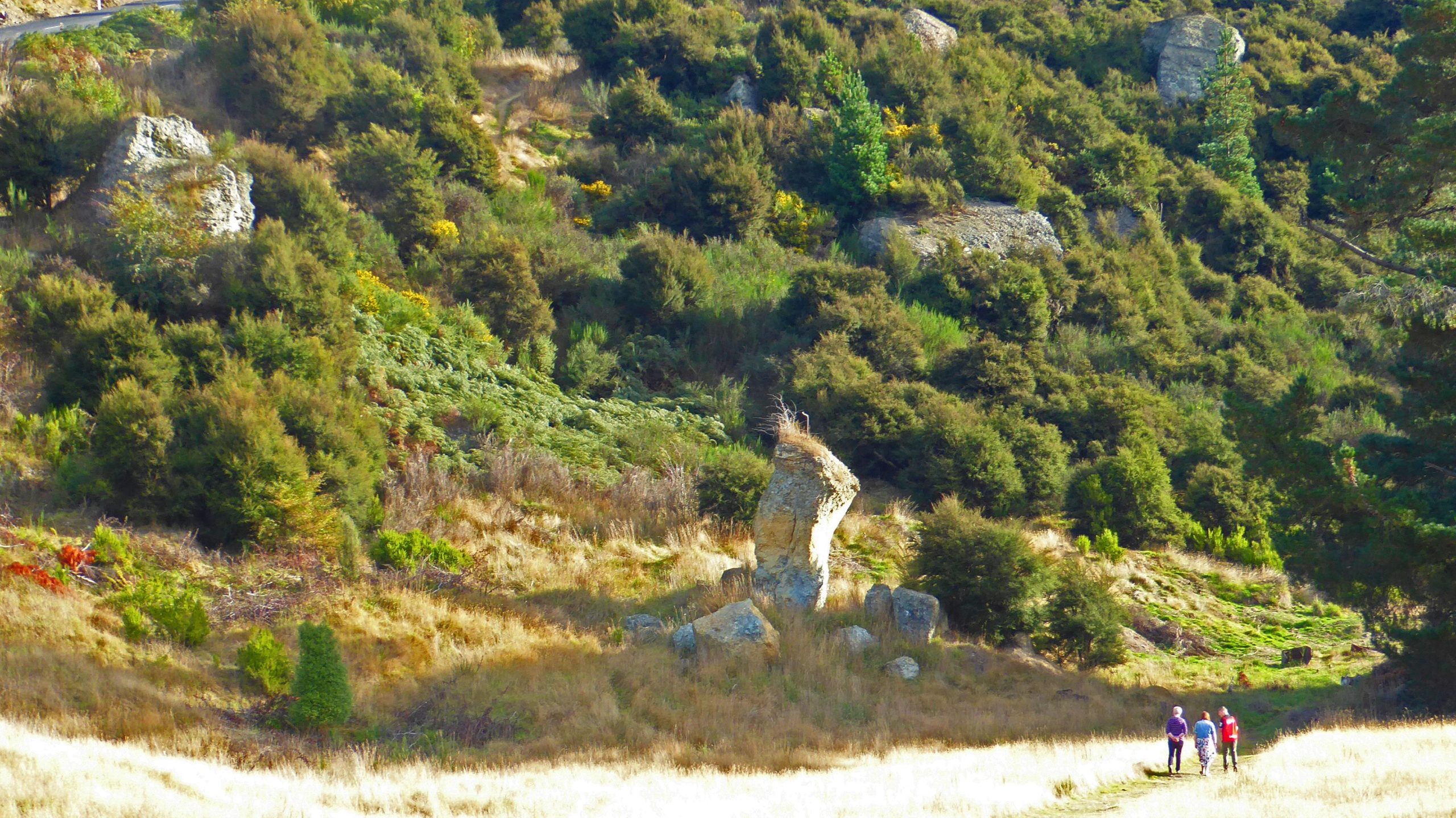 A scenic landscape featuring a group of people walking along a path, surrounded by lush green hills and rocky formations. The area is sparsely covered with tall grass and shrubs, with a few trees in the background. Bright sunlight illuminates the scene, highlighting the natural beauty of the environment. Gabriels Gully Loop mountain bike trail.