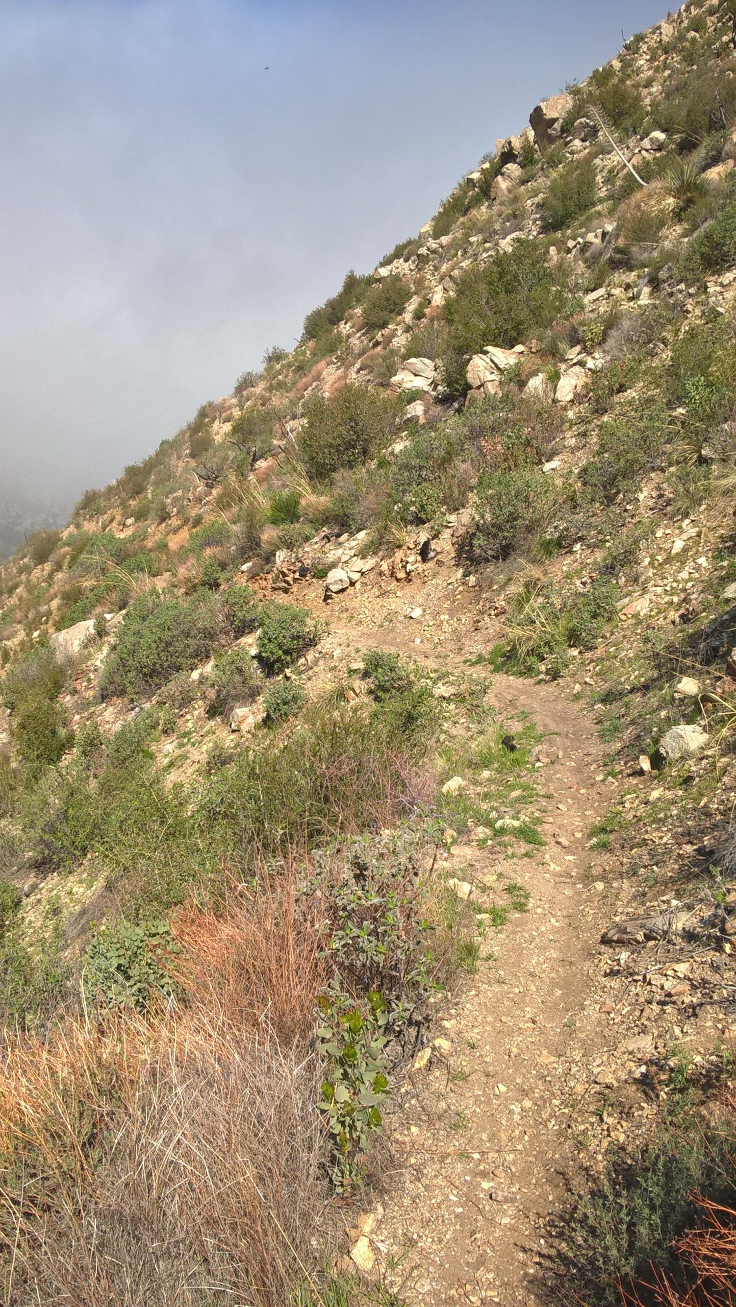 A narrow dirt path winding through a rocky, hilly landscape covered with various shrubs and grasses, with a misty atmosphere in the background. Acton Trail mountain bike trail.