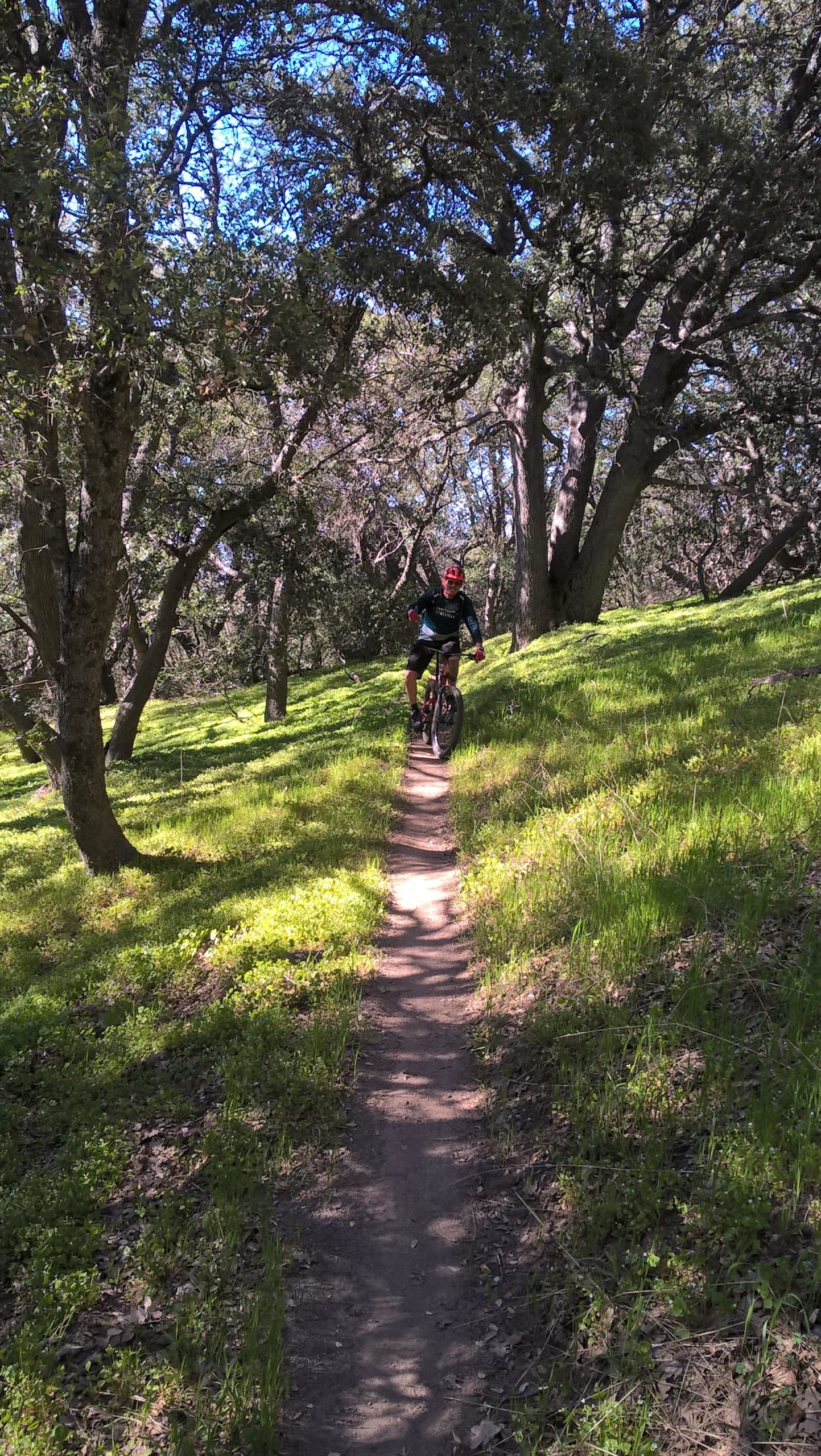 A person riding a mountain bike along a narrow dirt trail in a lush, green forest. The trail is surrounded by trees and vibrant foliage, with sunlight filtering through the leaves, creating a dappled light effect on the ground. Golden Eagle Trail mountain bike trail.