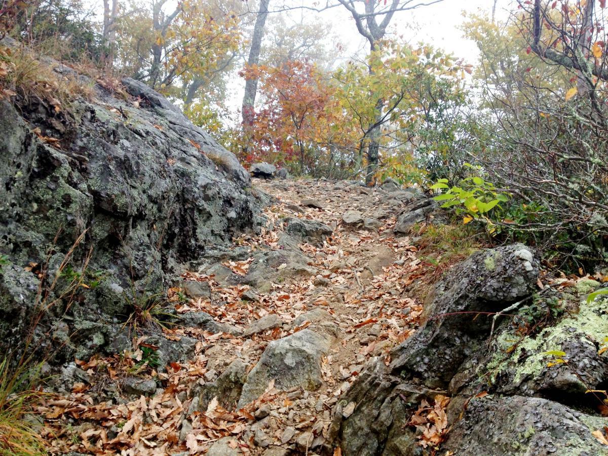 A rocky trail winding through a foggy forest, surrounded by autumn foliage in shades of orange and yellow. The path is lined with scattered leaves and several large stones, creating a natural, rugged landscape. Pilot Rock mountain bike trail.
