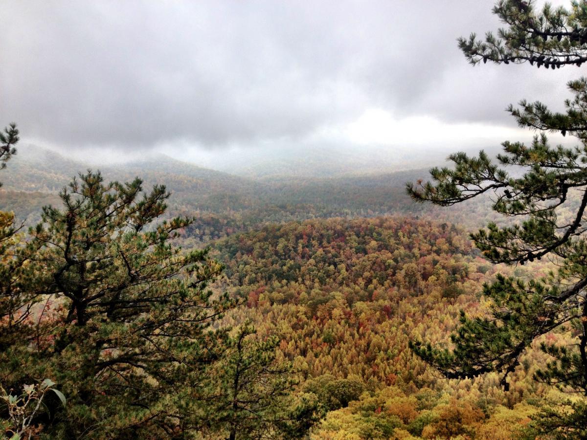 A misty view of a forested landscape featuring rolling hills and a variety of autumn foliage colors, including greens, yellows, and oranges. The foreground includes pine branches framing the scene, with clouds hovering over the distant hills. Pilot Rock mountain bike trail.