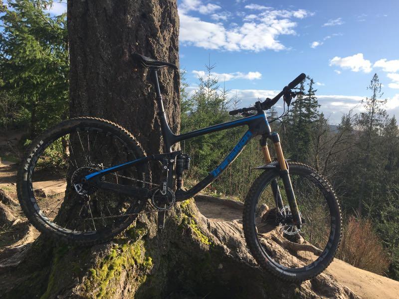 A mountain bike leaning against a large tree in a forested area, with a clear blue sky and clouds in the background. The bike features a black frame with blue accents and is positioned on a dirt trail surrounded by greenery. Galbraith Mountain mountain bike trail.